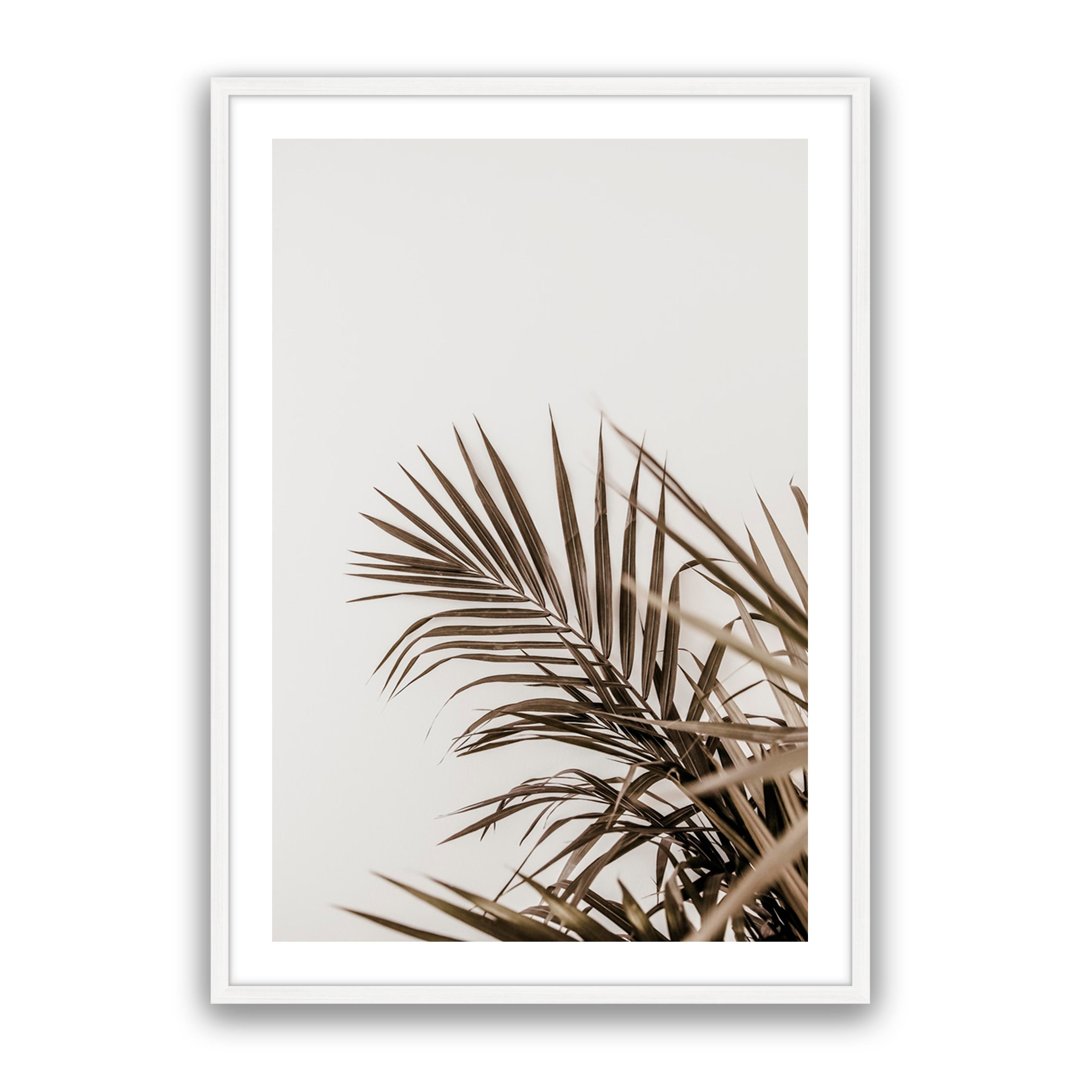 Vacay Palm 02