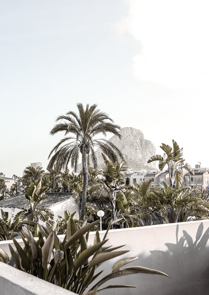 Palm Villa