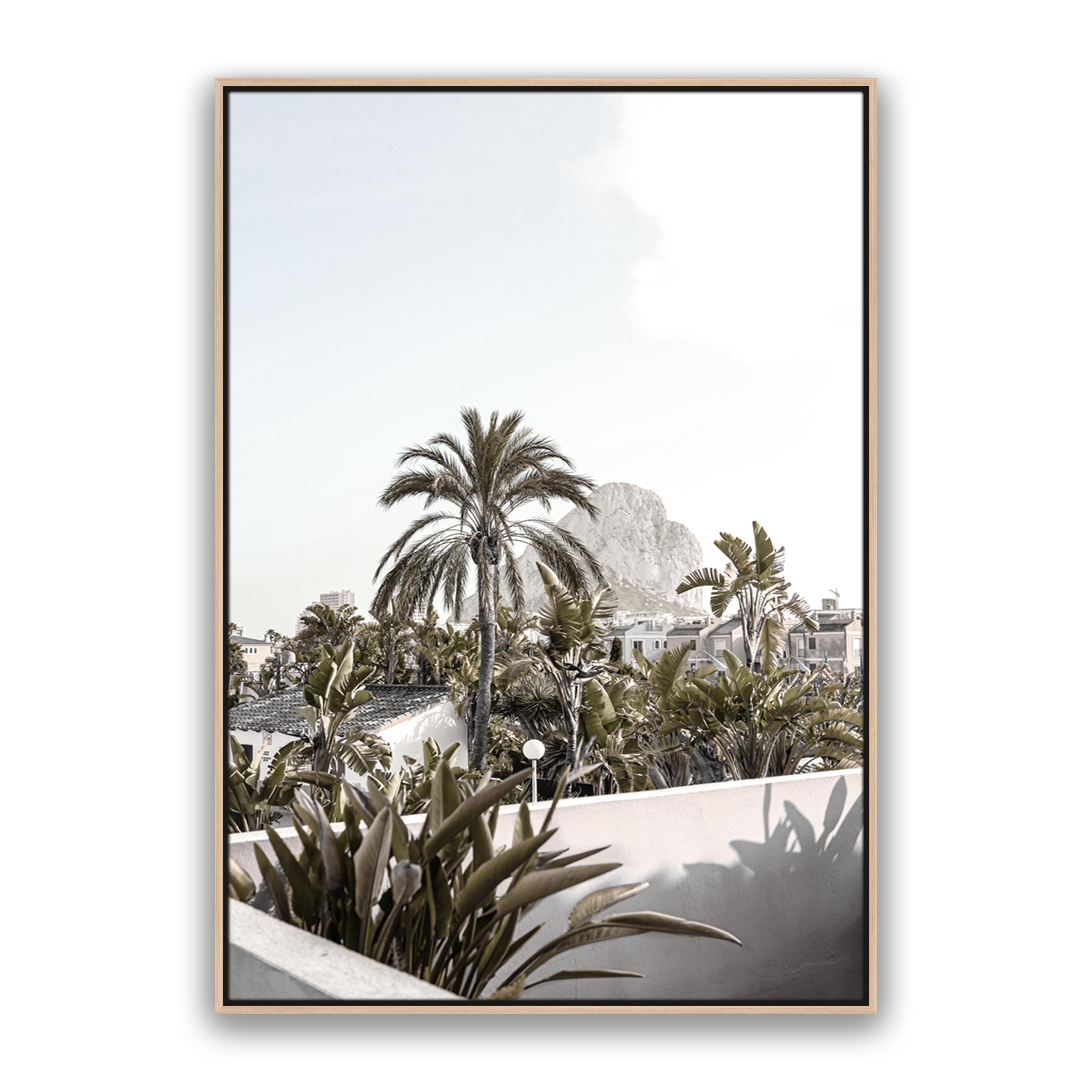 Palm Villa