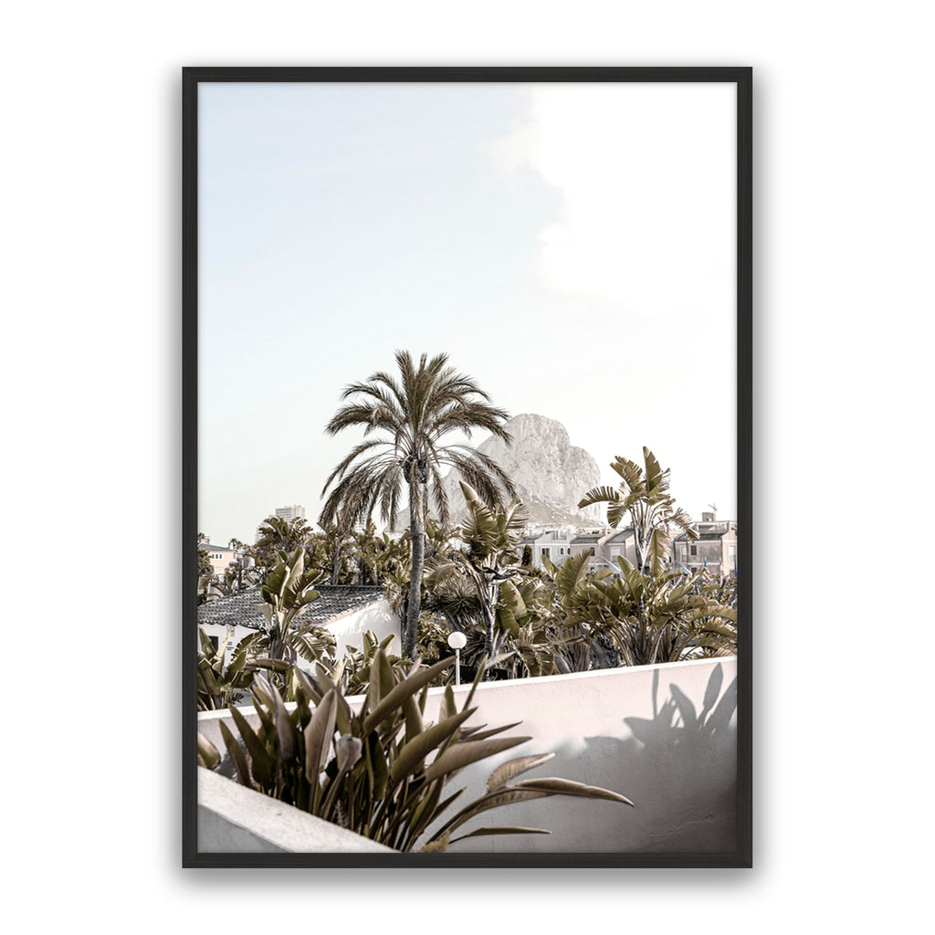 Palm Villa