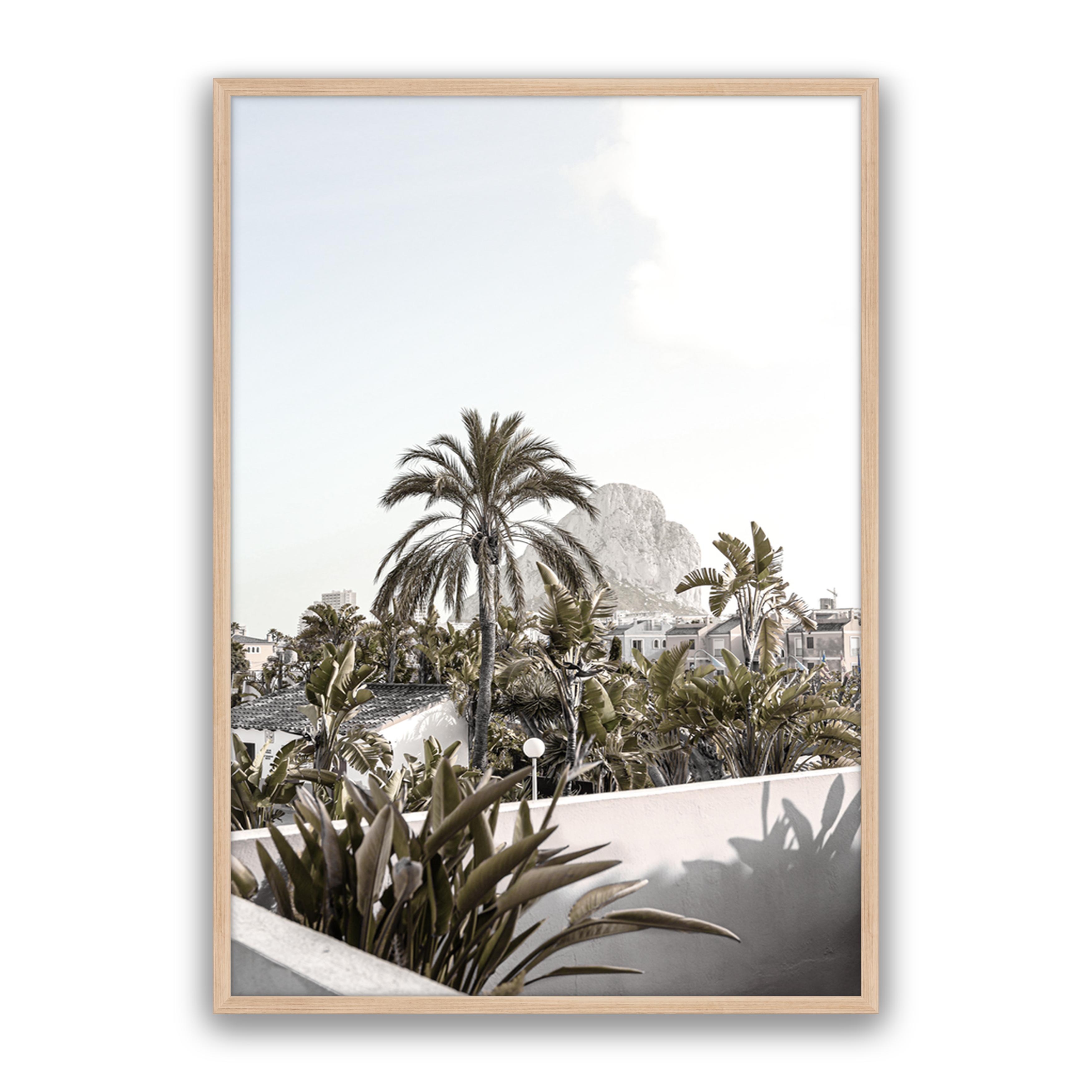 Palm Villa