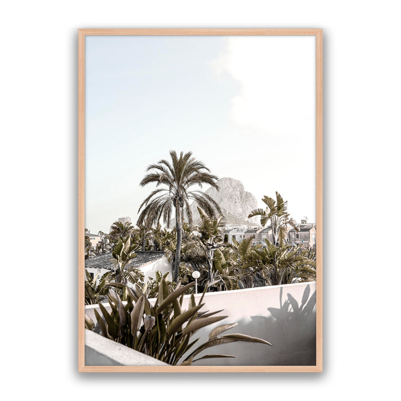 Palm Villa