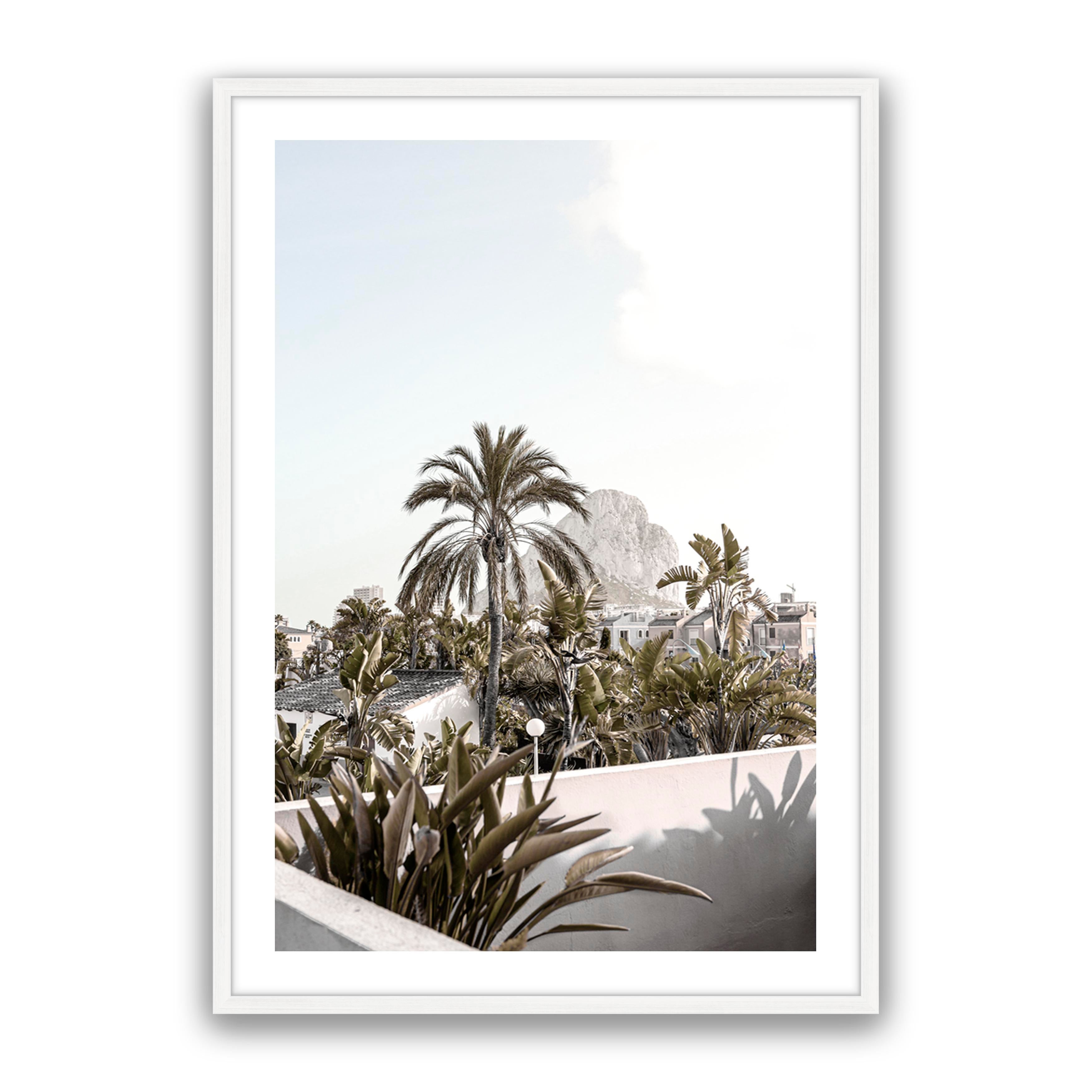 Palm Villa