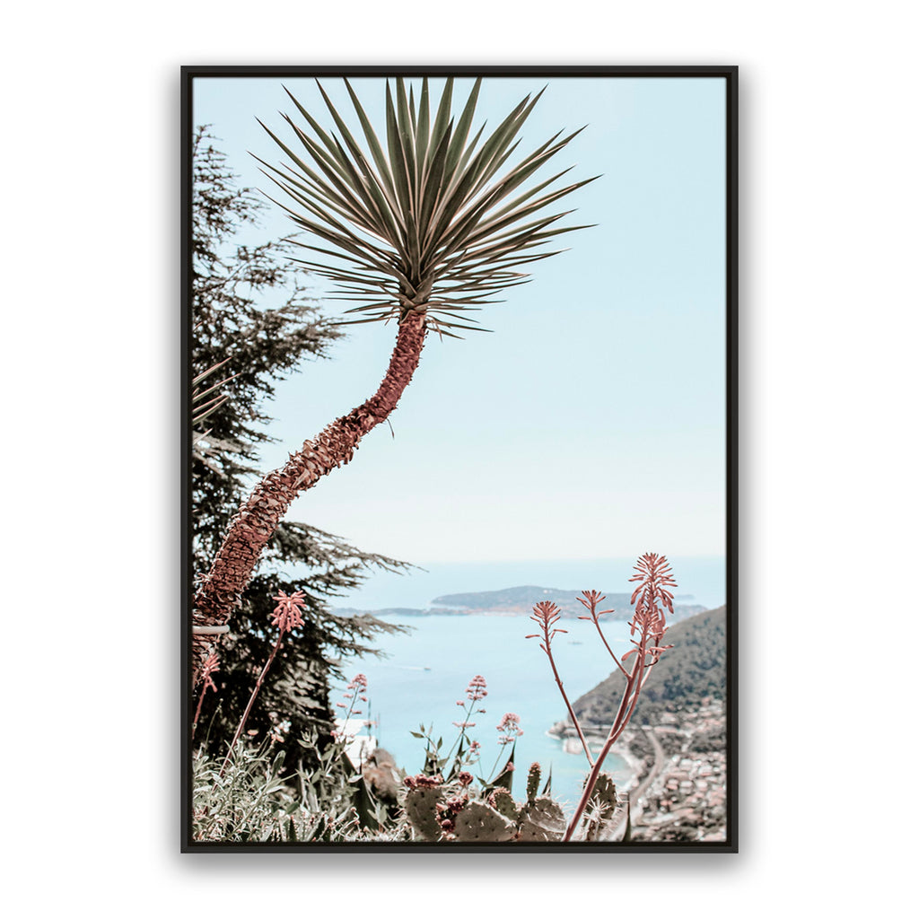 Secret Palm