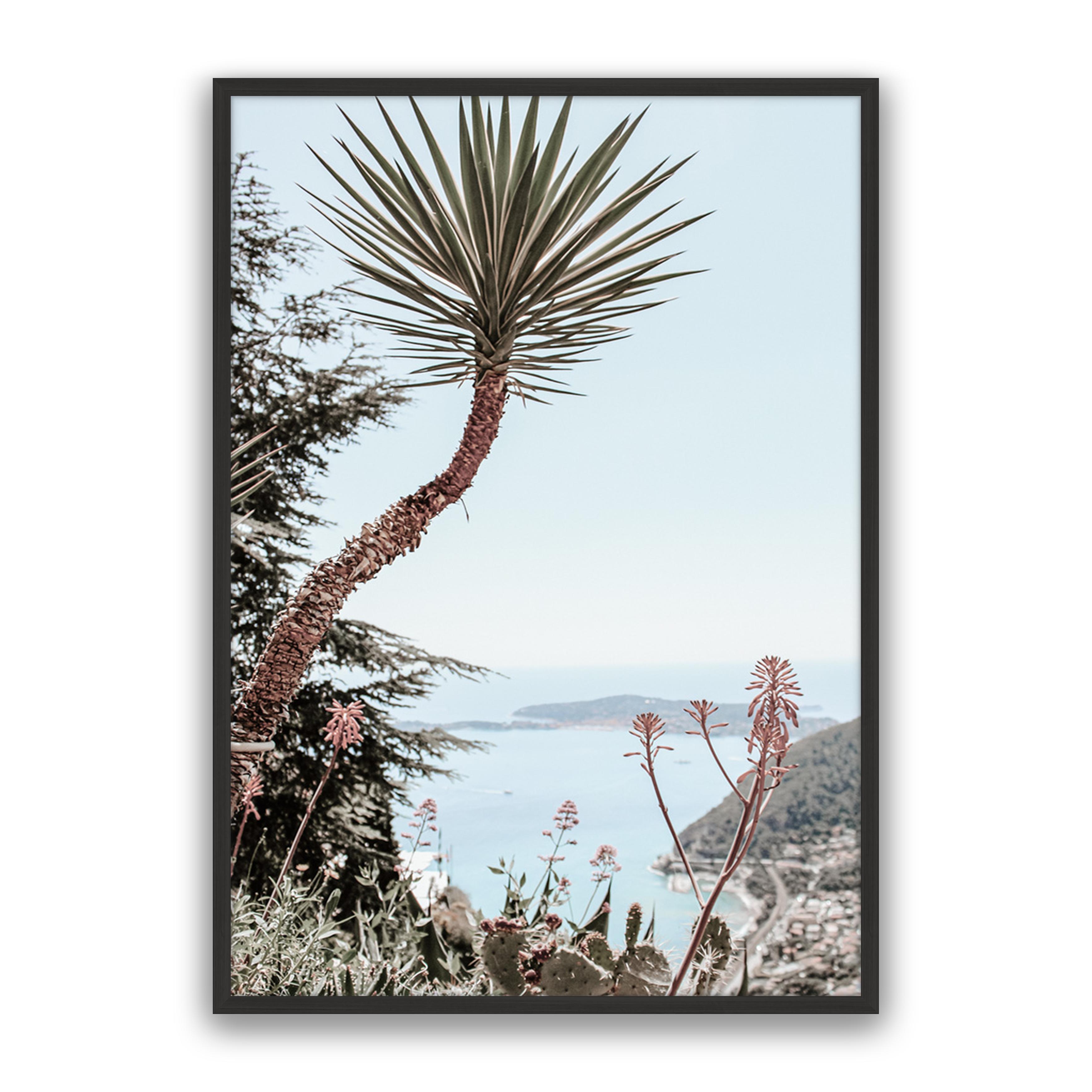 Secret Palm