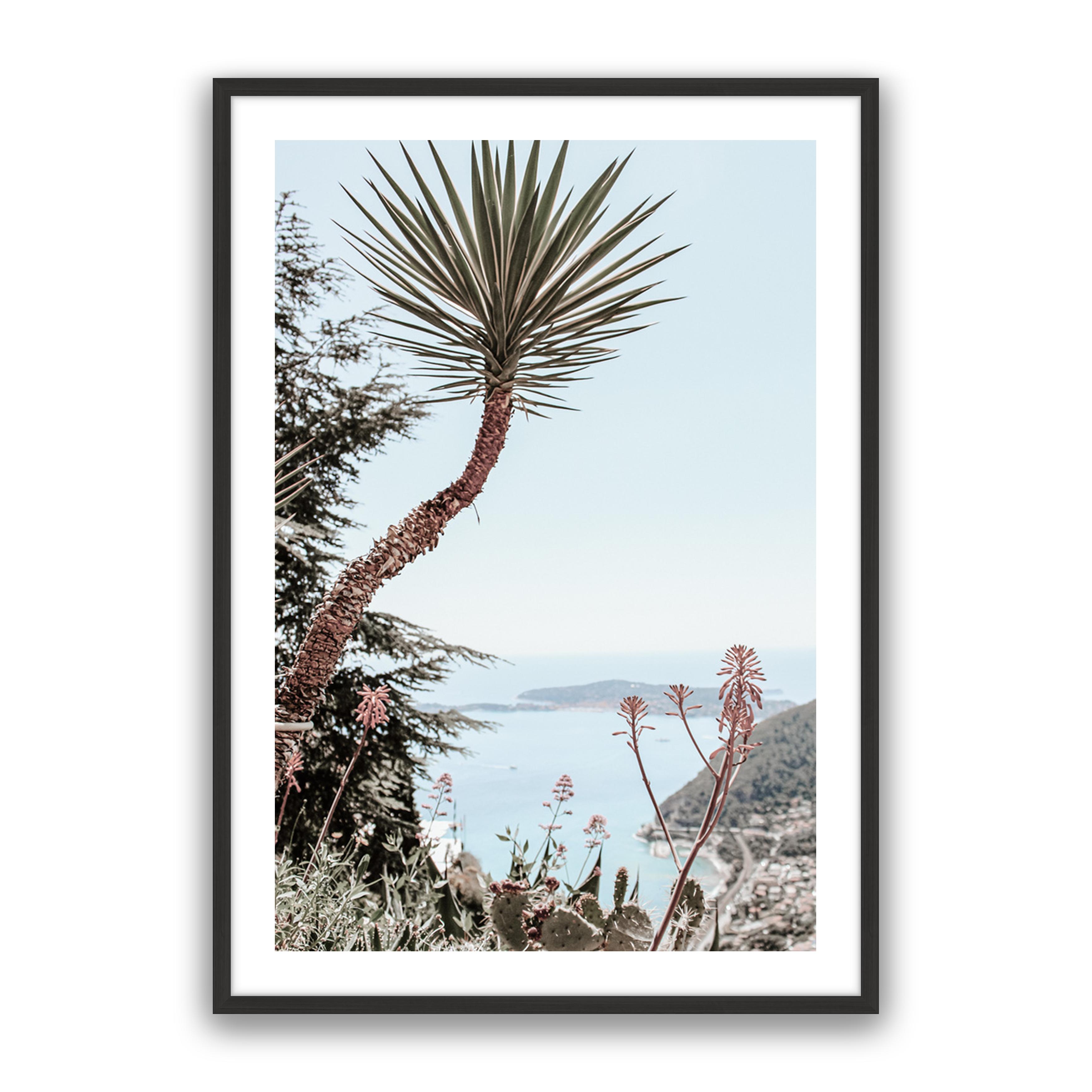 Secret Palm