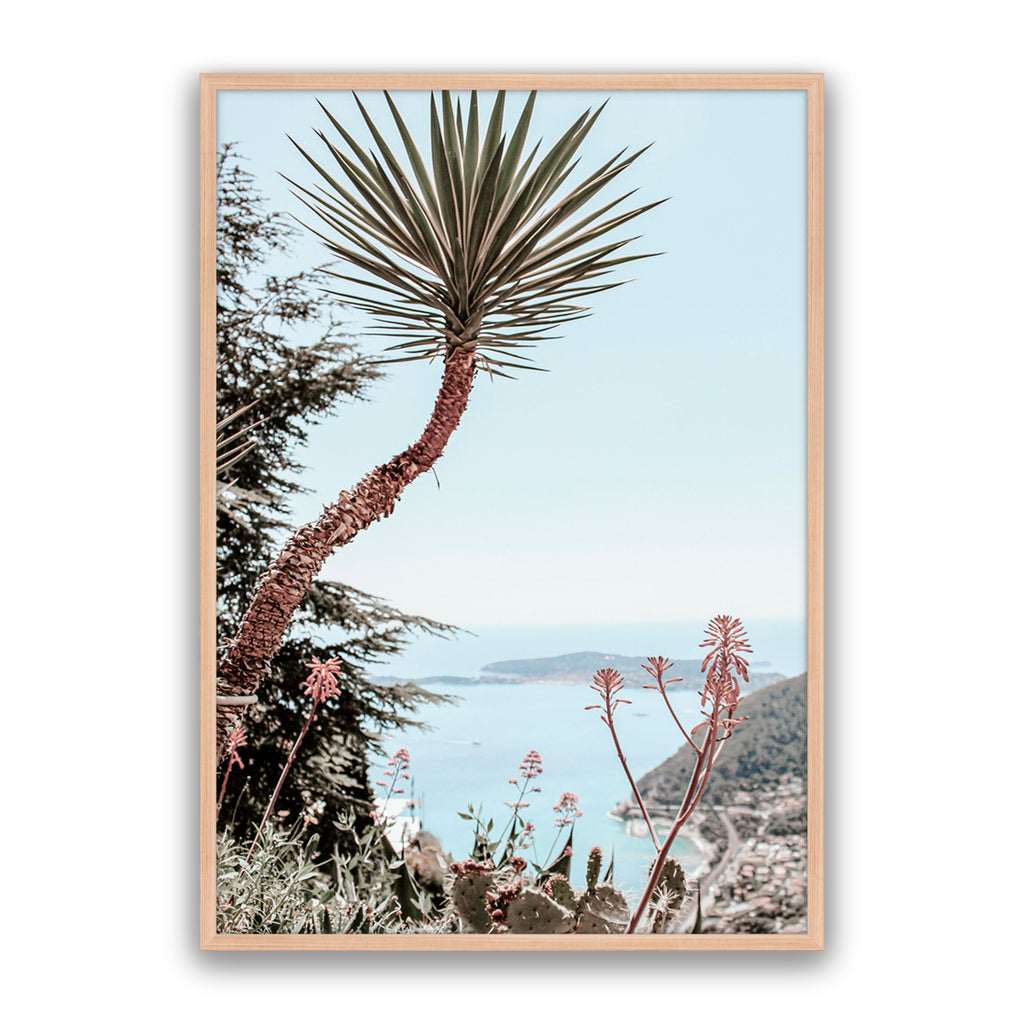 Secret Palm