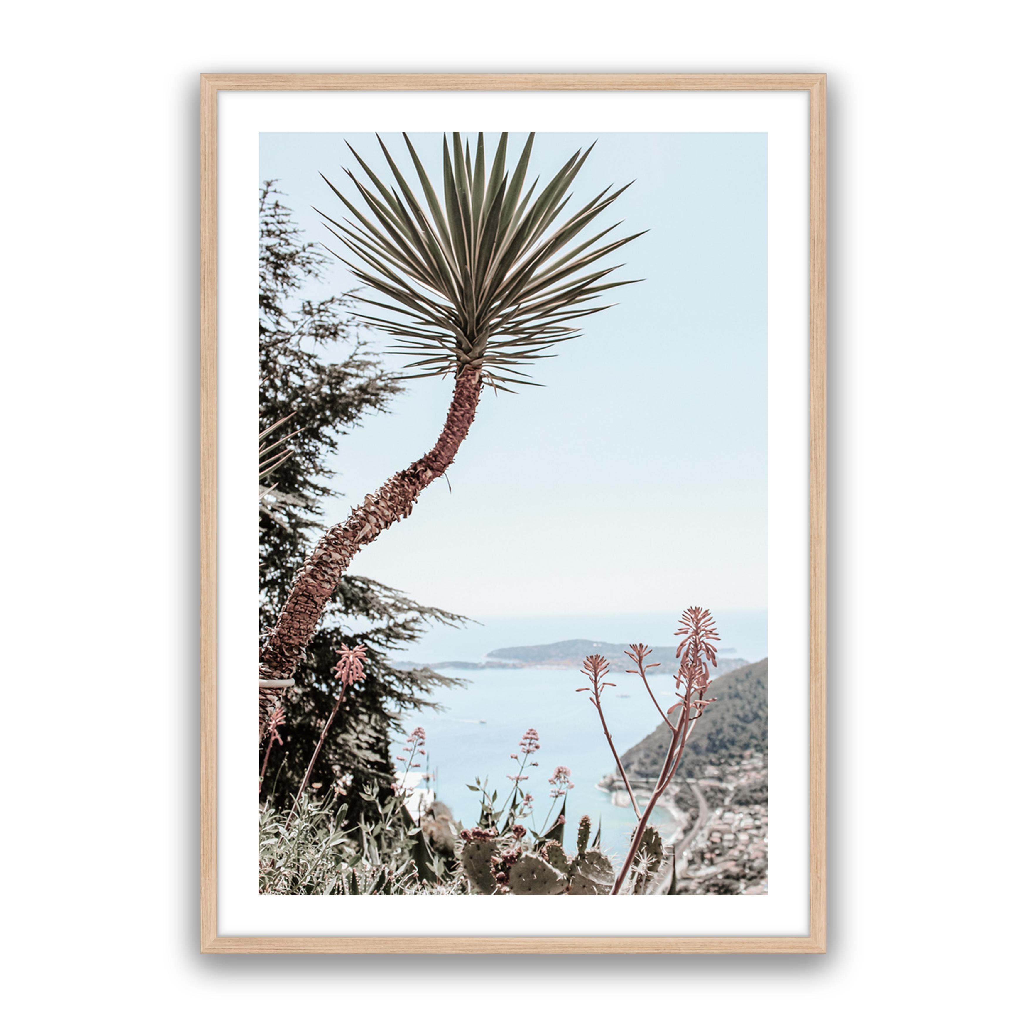 Secret Palm
