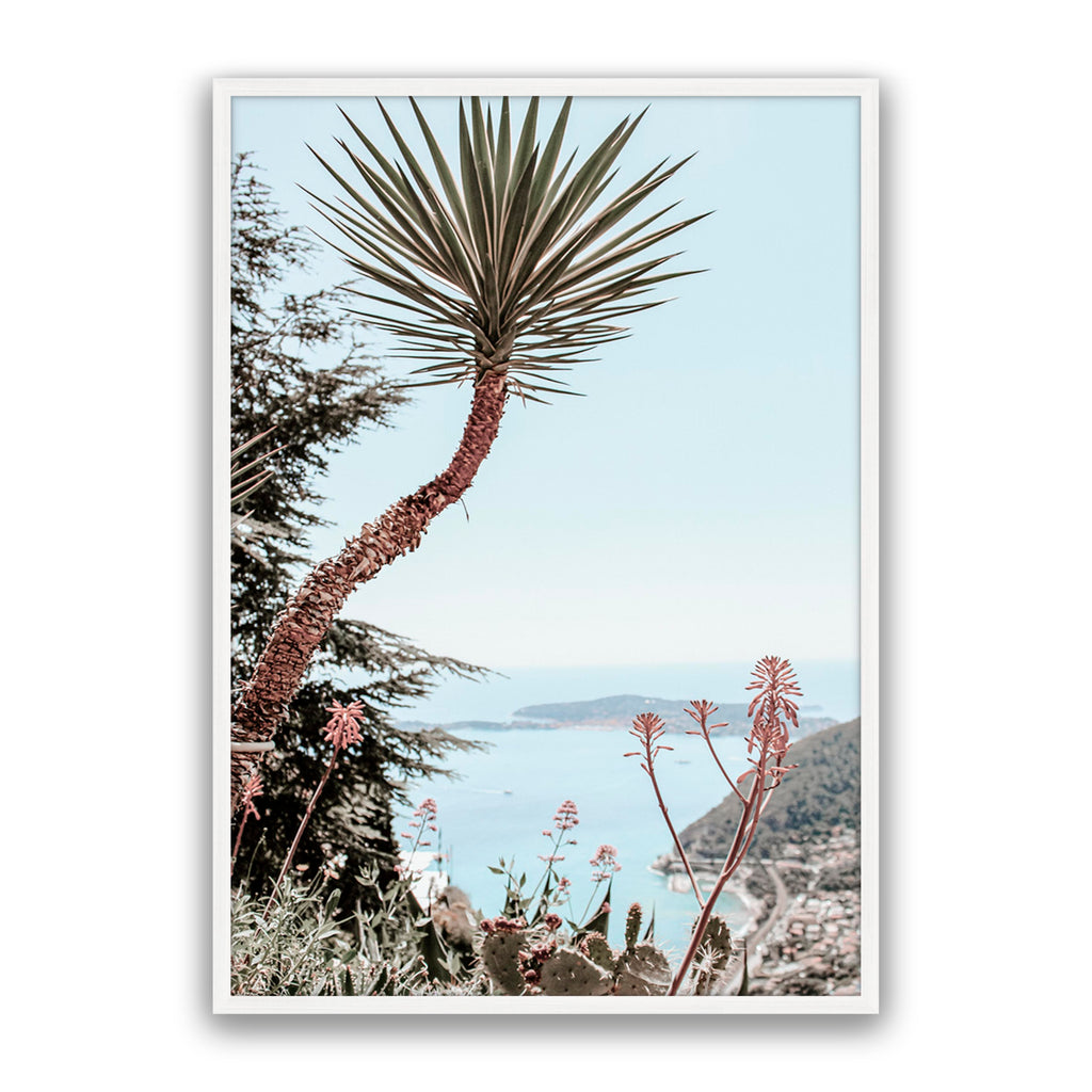Secret Palm