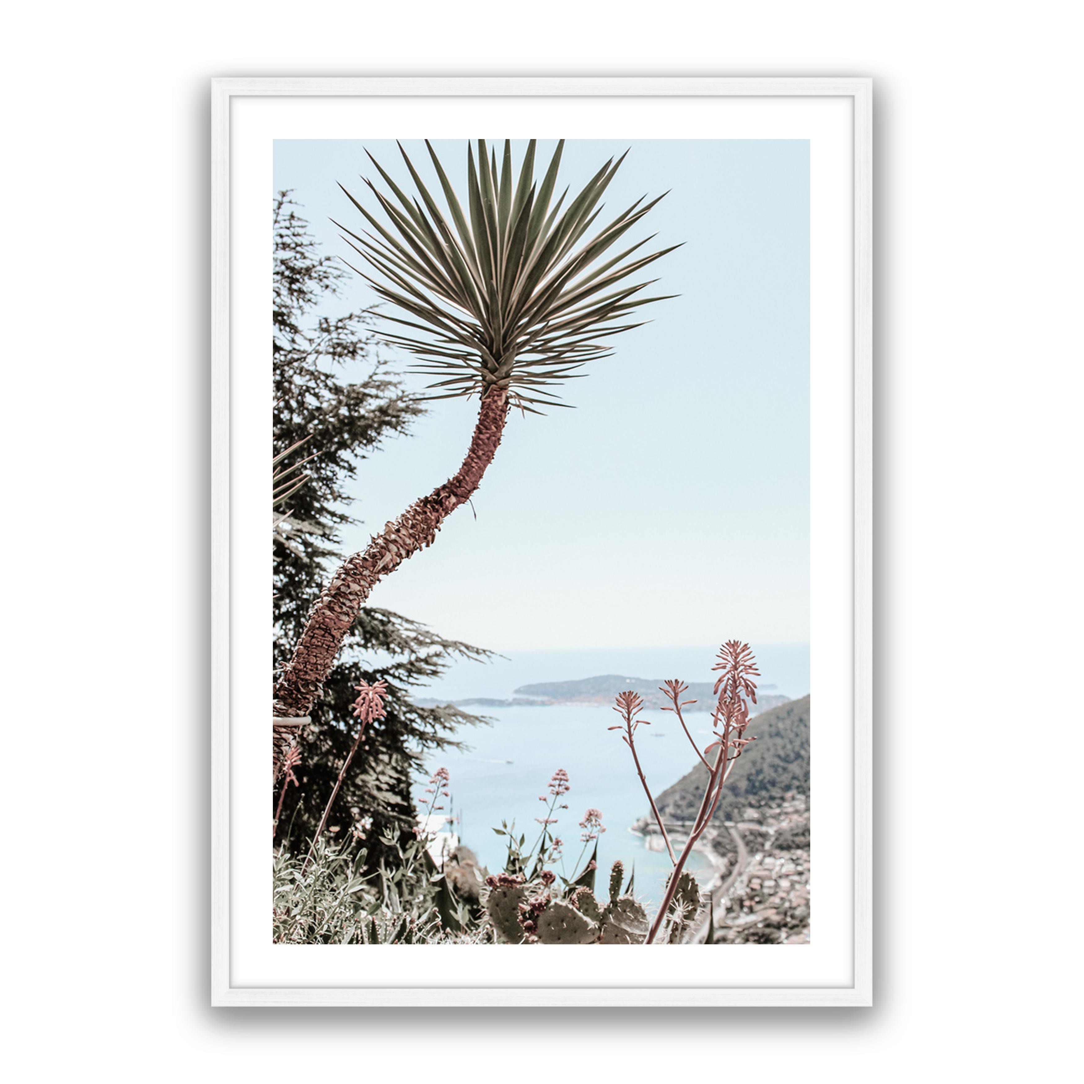 Secret Palm