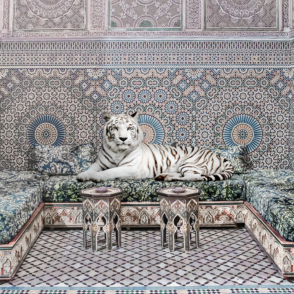 Morrocan King
