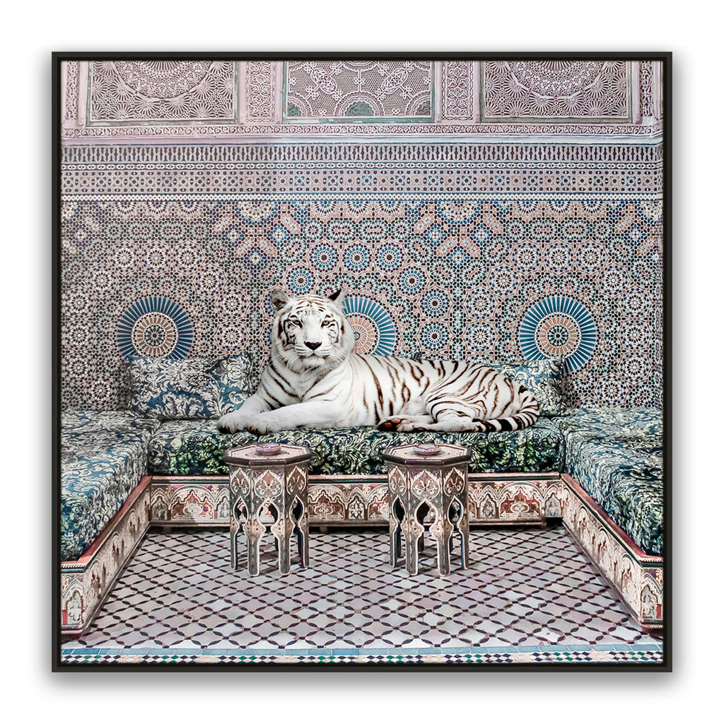 Morrocan King