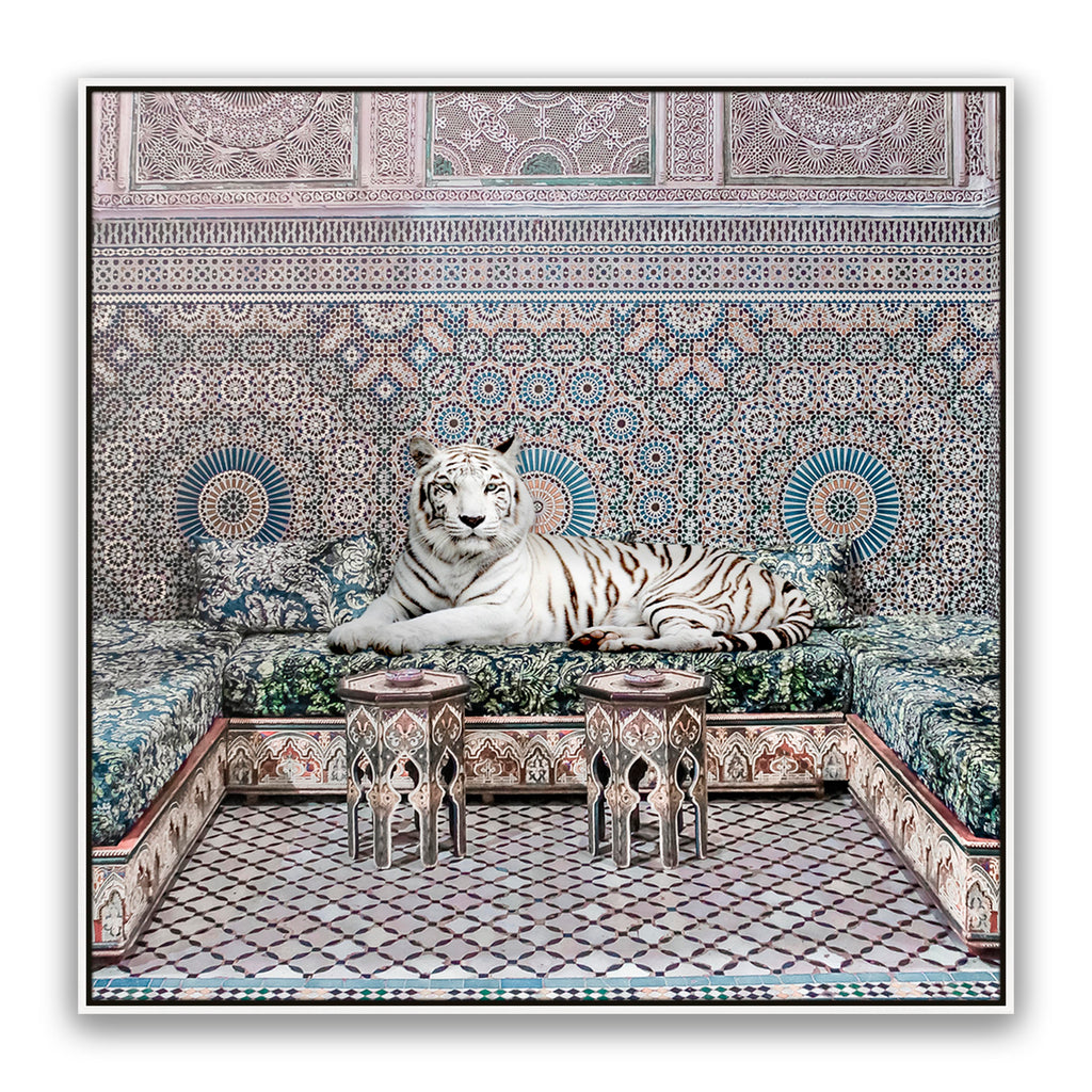 Morrocan King