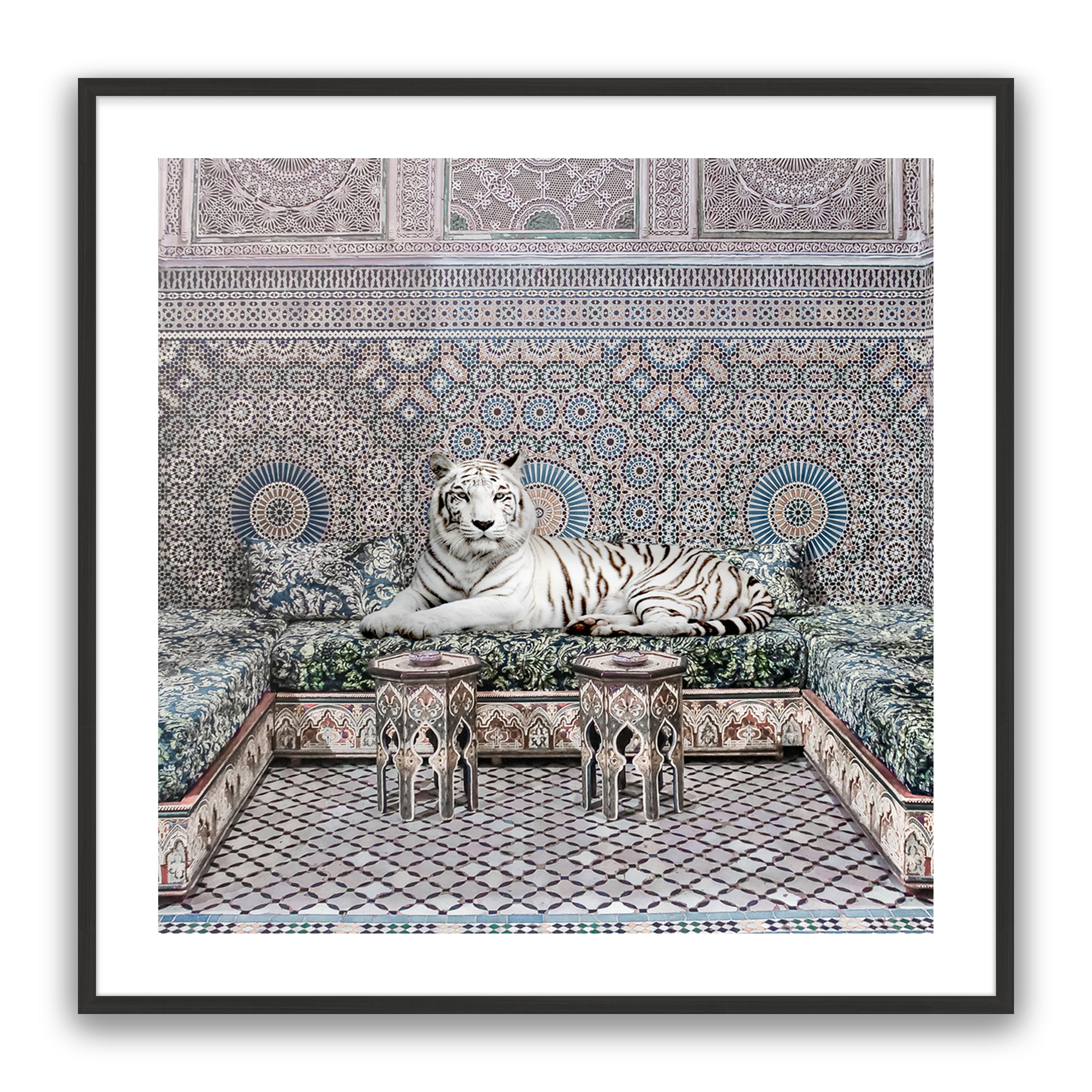 Morrocan King