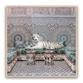 Morrocan King