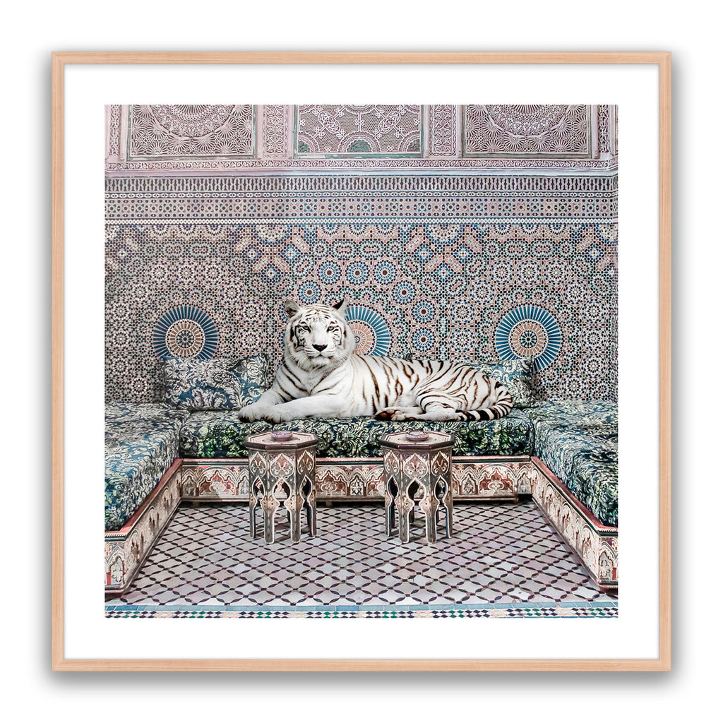 Morrocan King