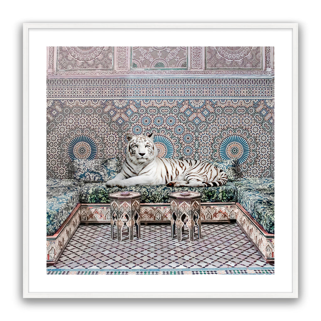 Morrocan King