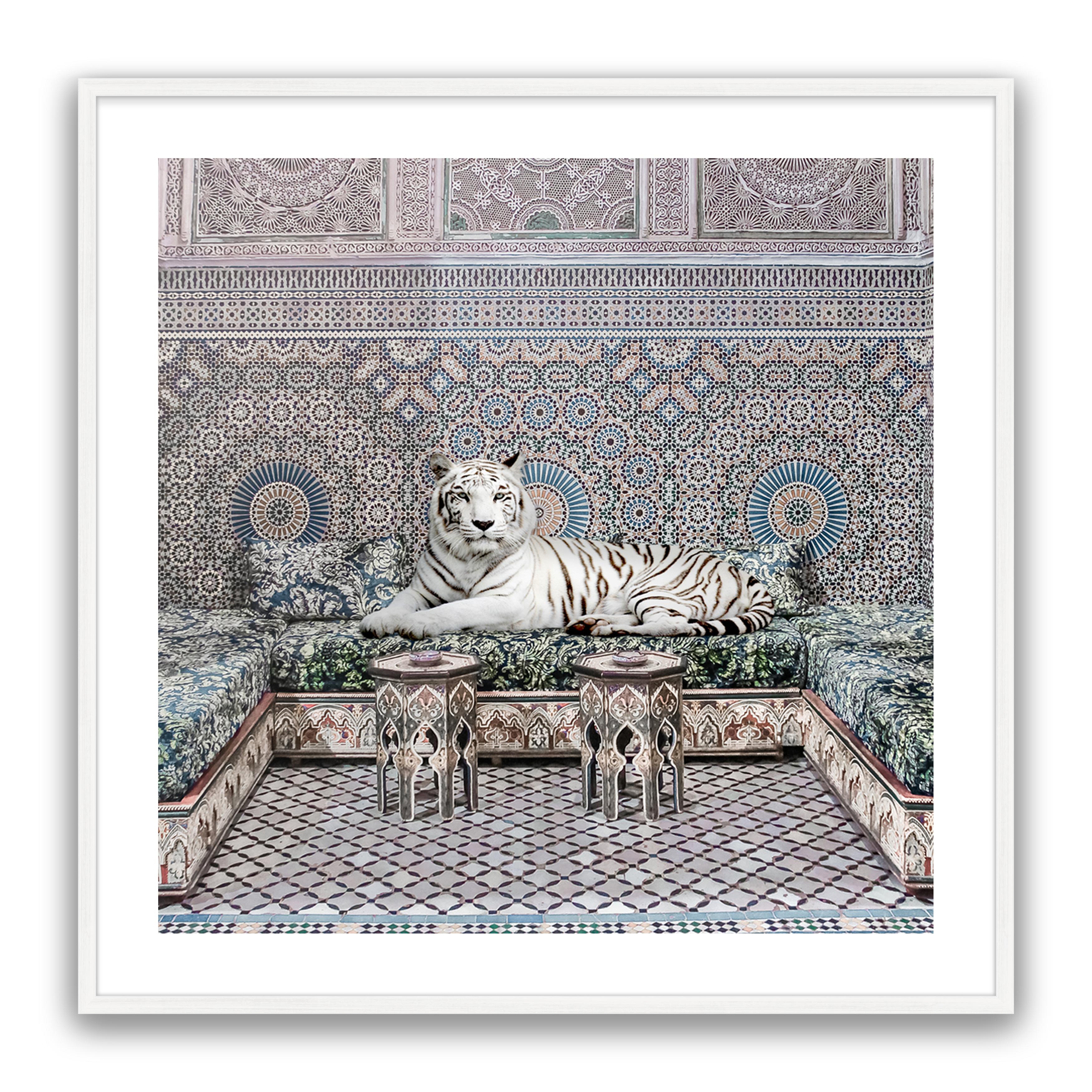 Morrocan King