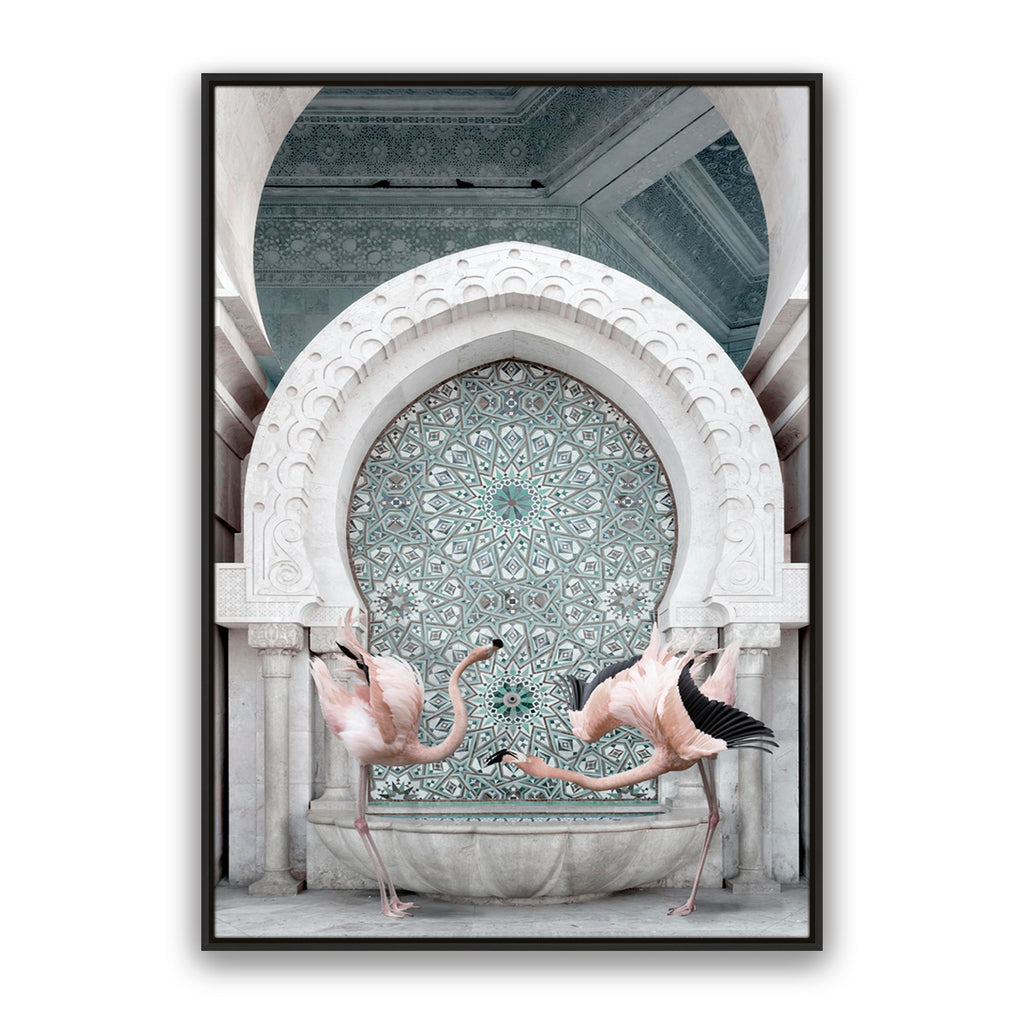 Morrocan Flamingos
