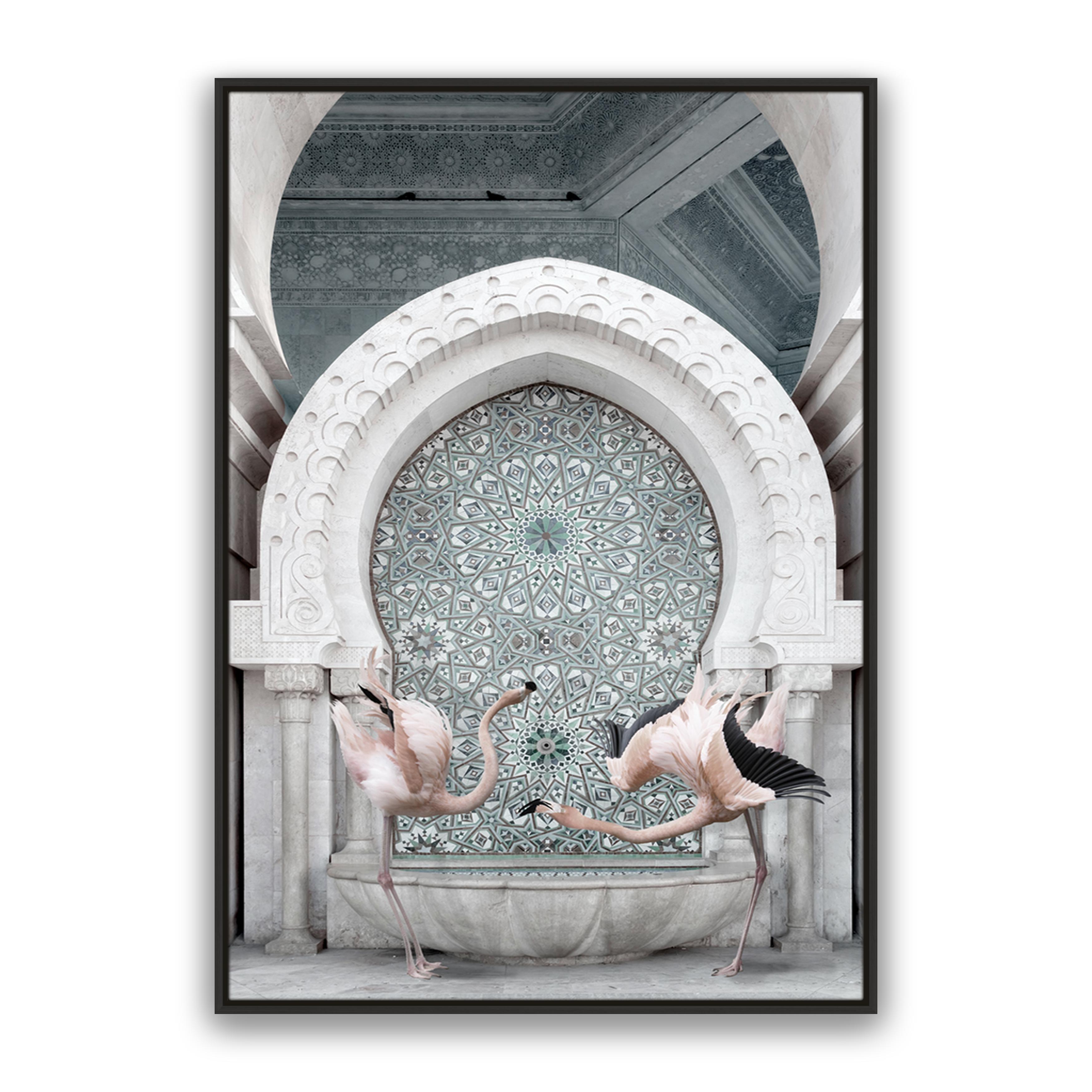 Morrocan Flamingos