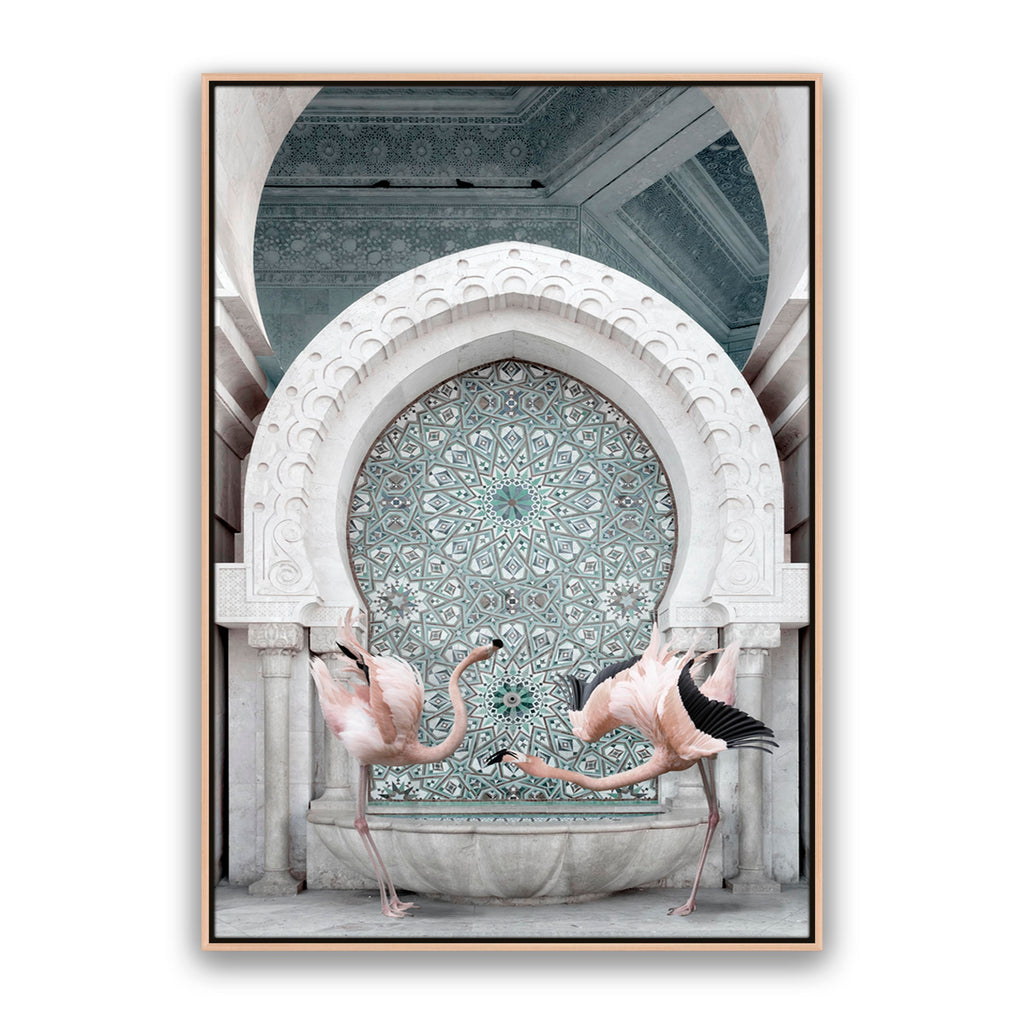 Morrocan Flamingos