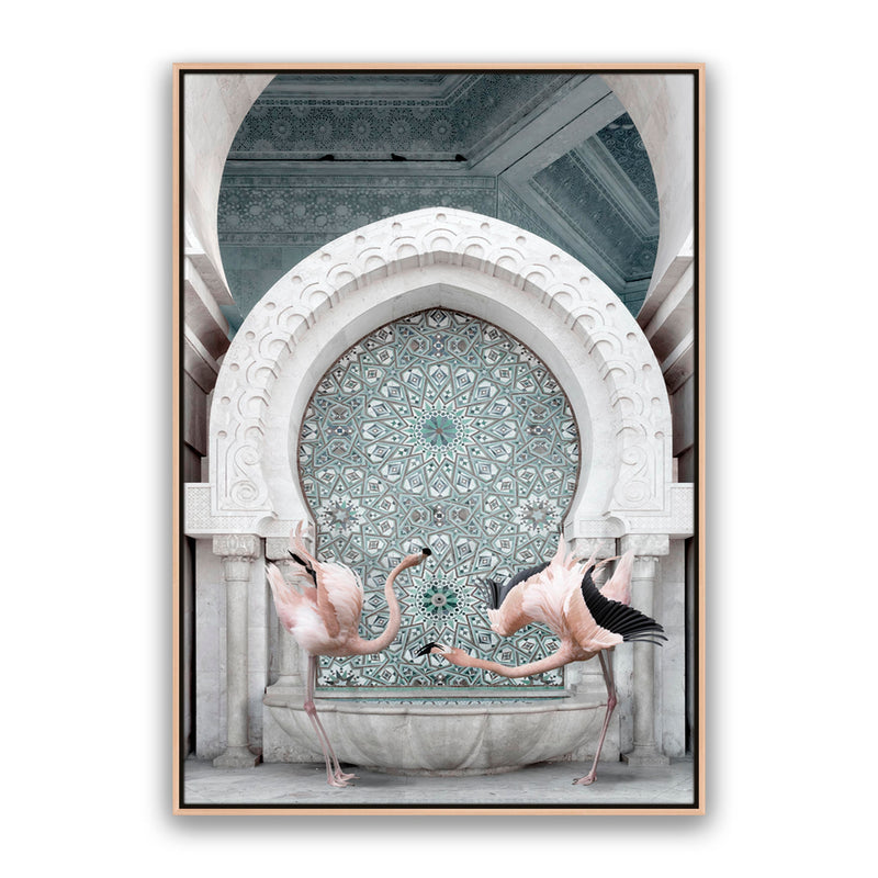 Morrocan Flamingos