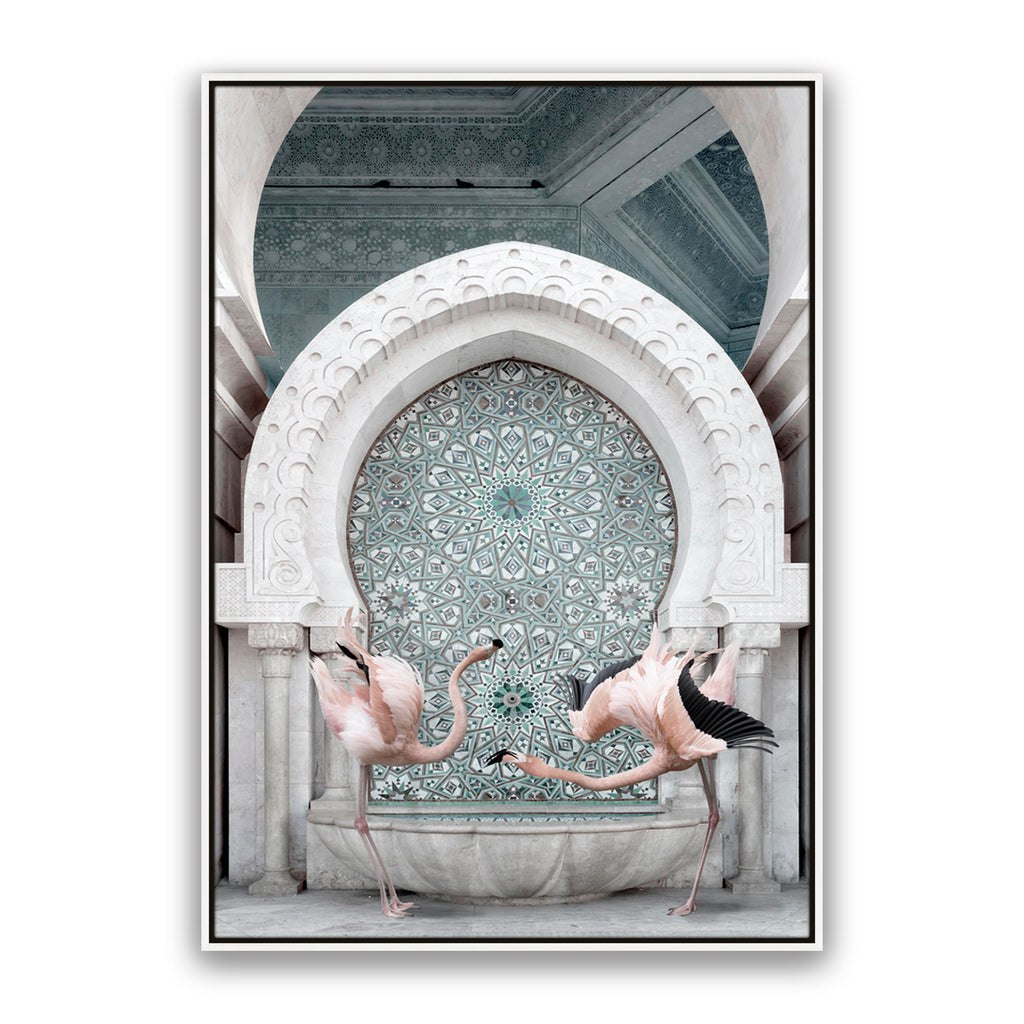 Morrocan Flamingos