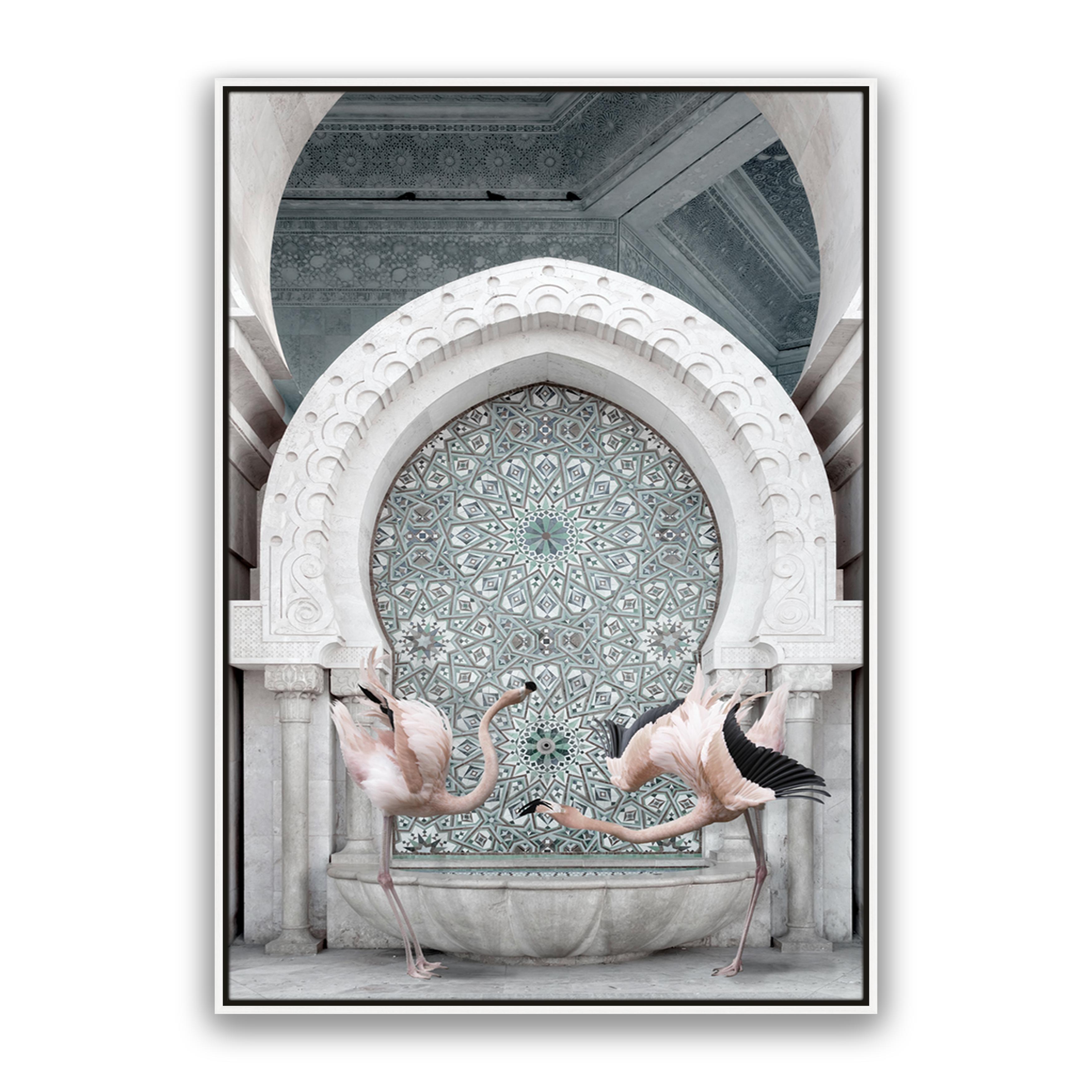 Morrocan Flamingos