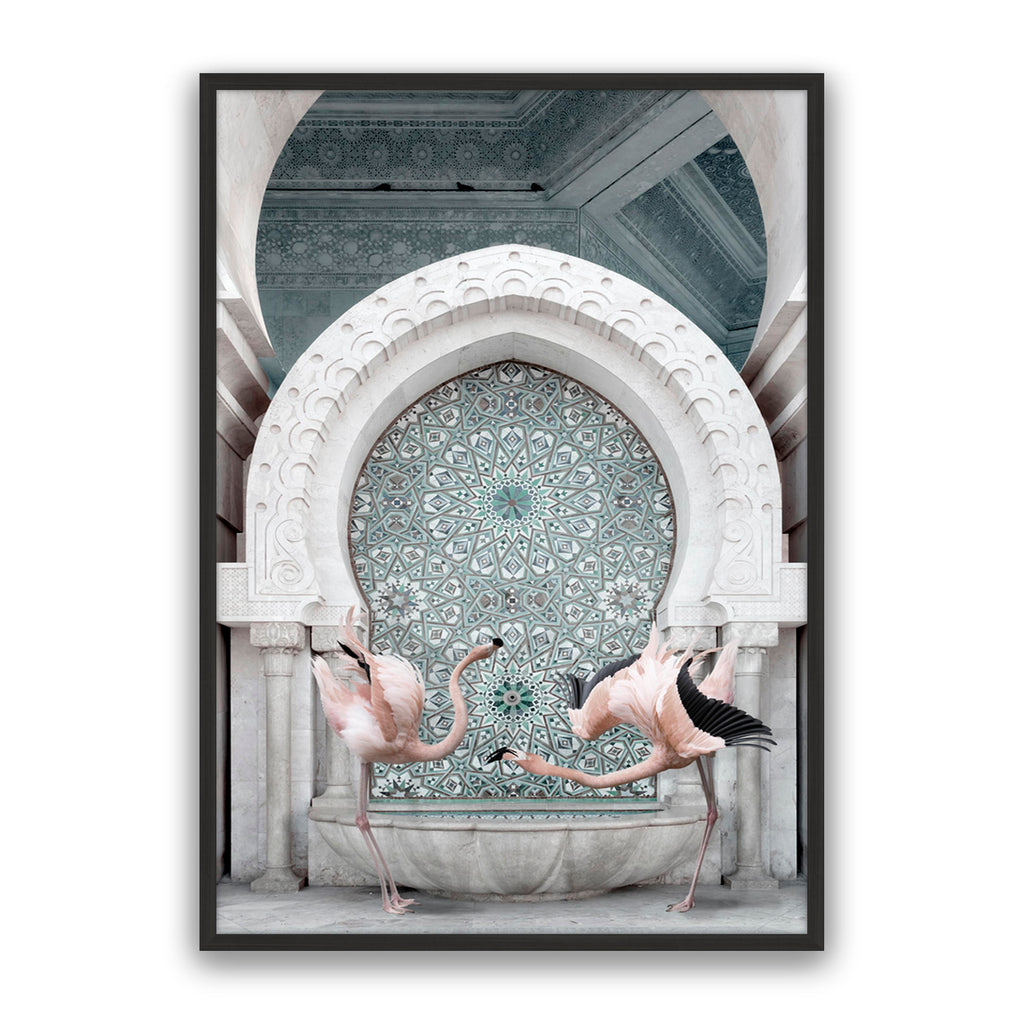 Morrocan Flamingos