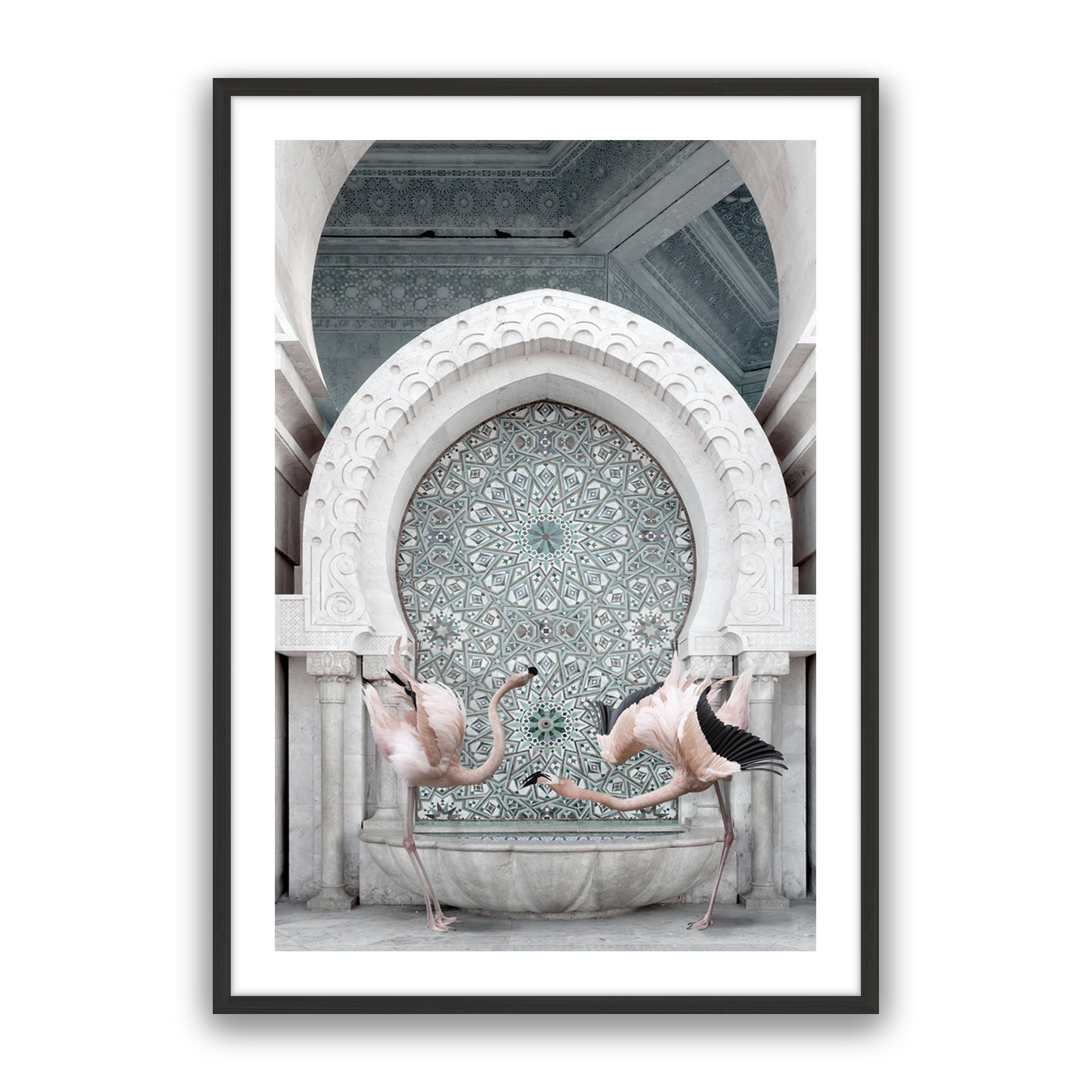 Morrocan Flamingos
