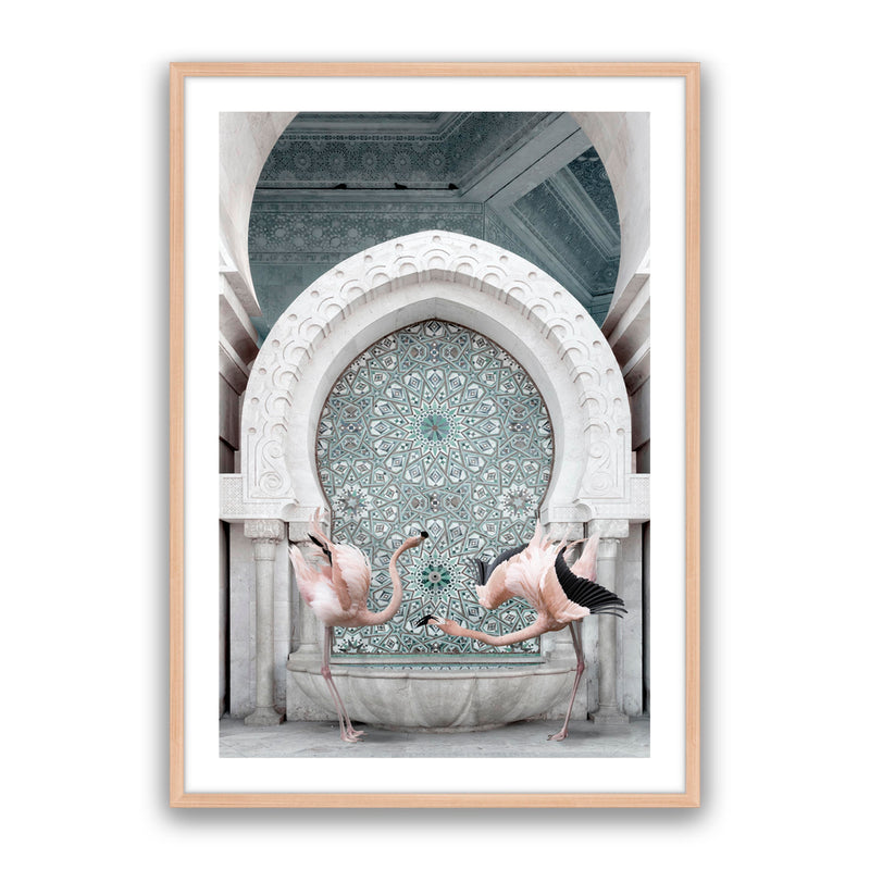 Morrocan Flamingos