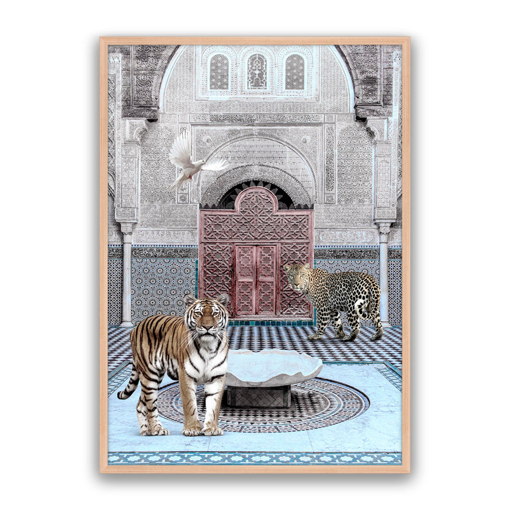 Morrocan Cat Club
