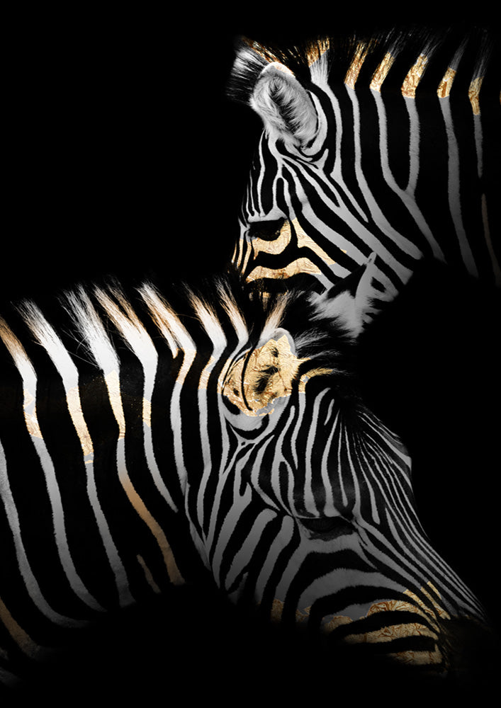 Golden Zebras