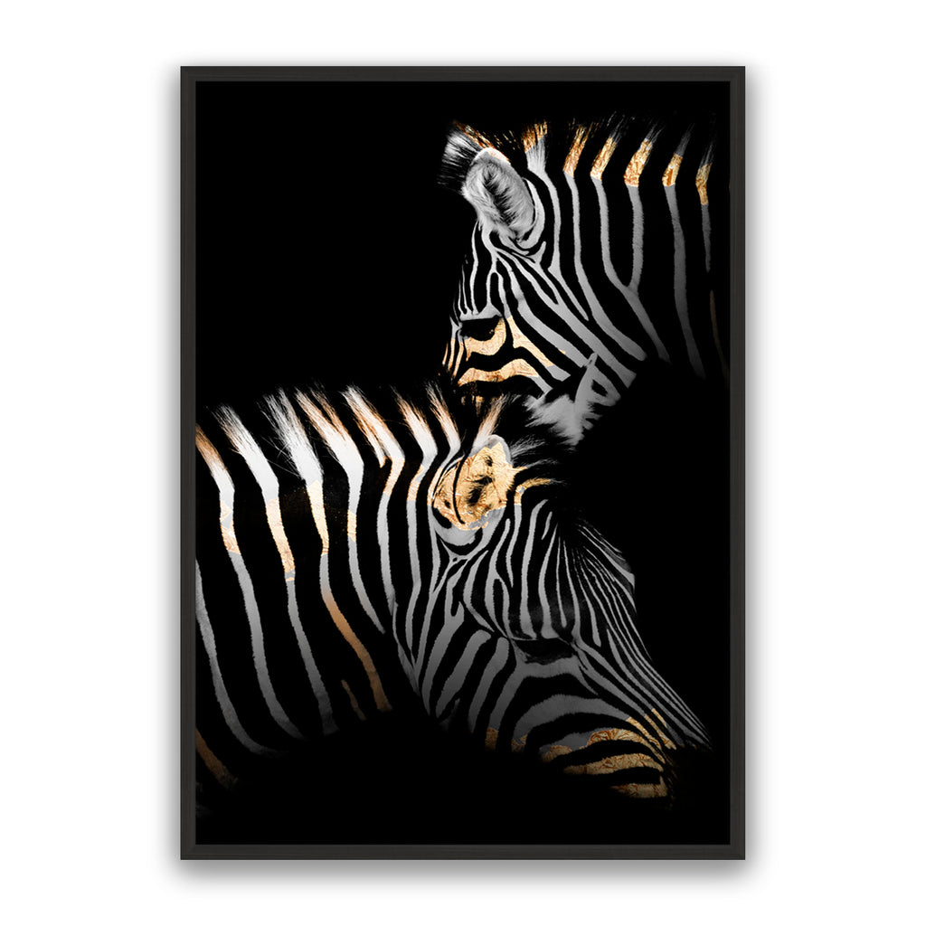 Golden Zebras