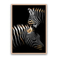 Golden Zebras