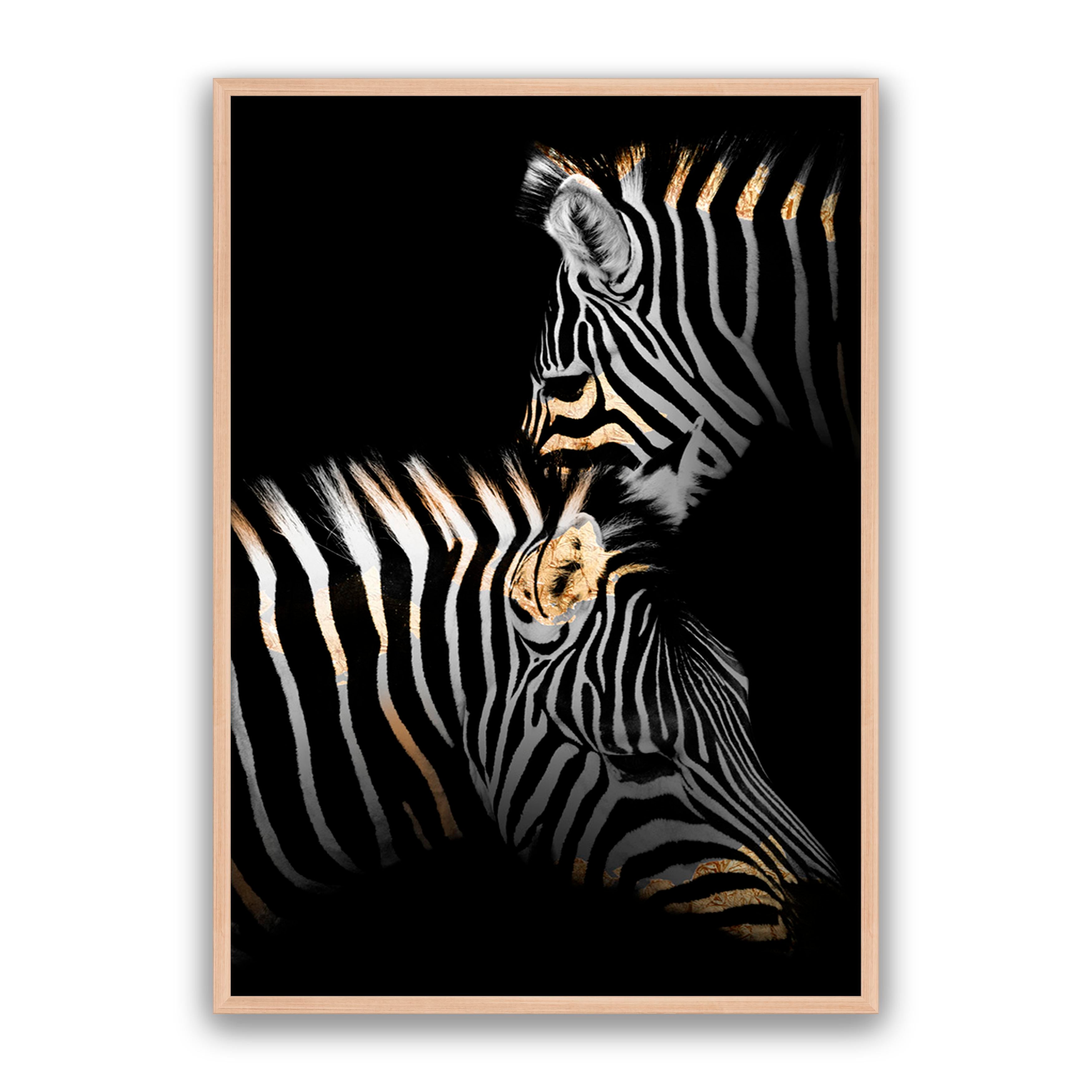 Golden Zebras