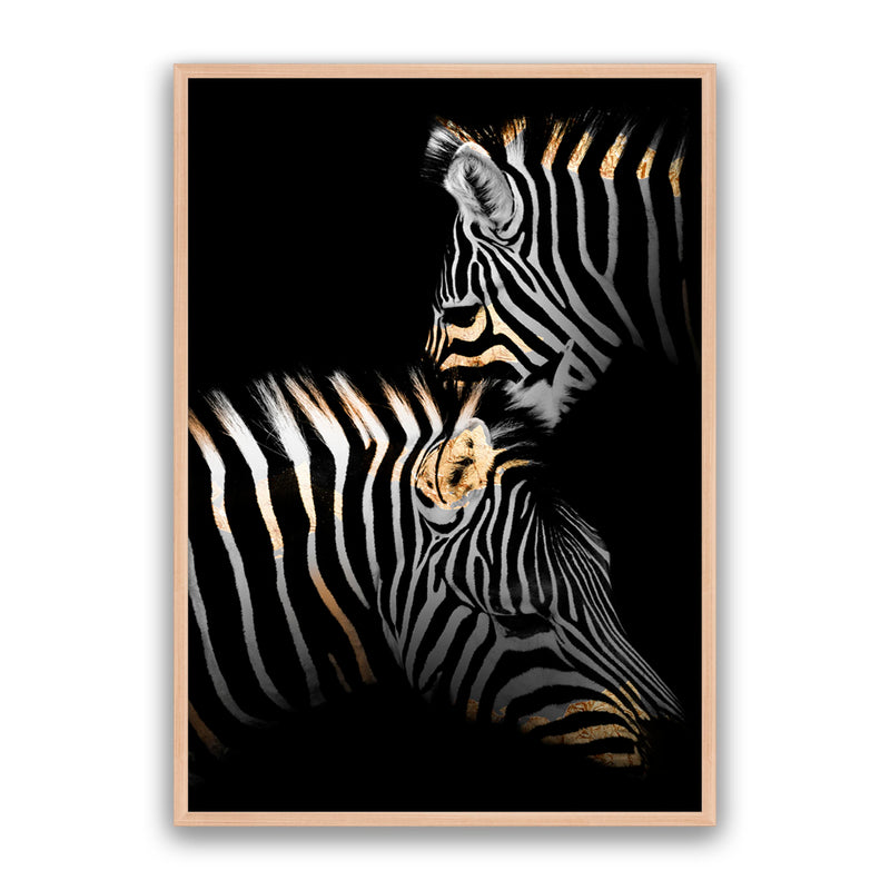Golden Zebras