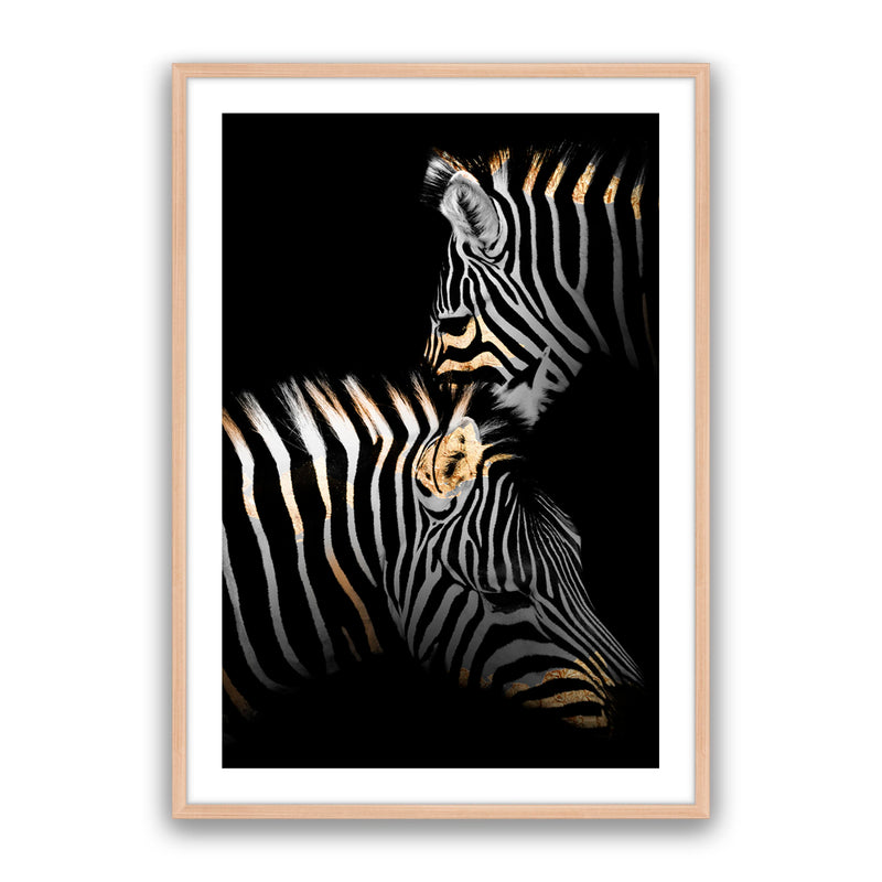 Golden Zebras