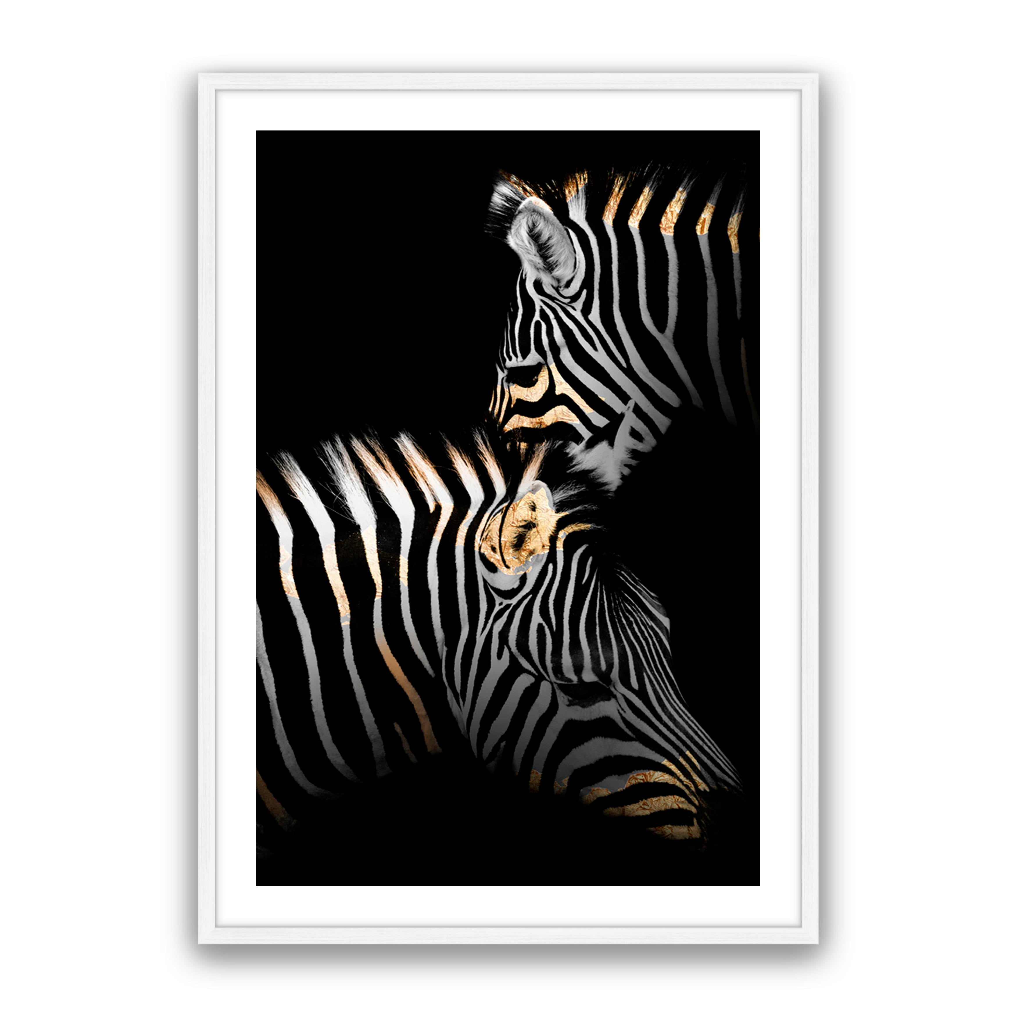 Golden Zebras