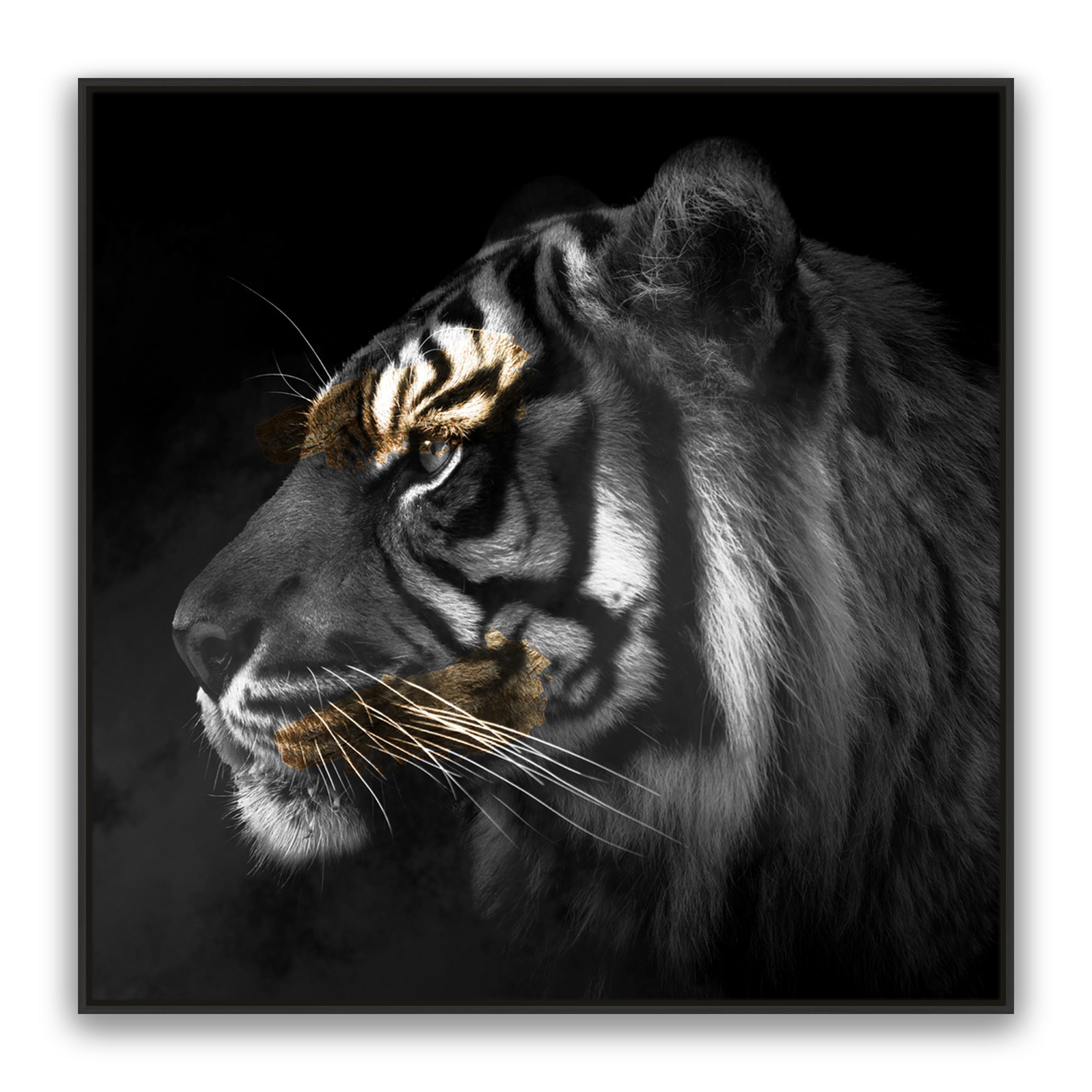Tiger Gold Square