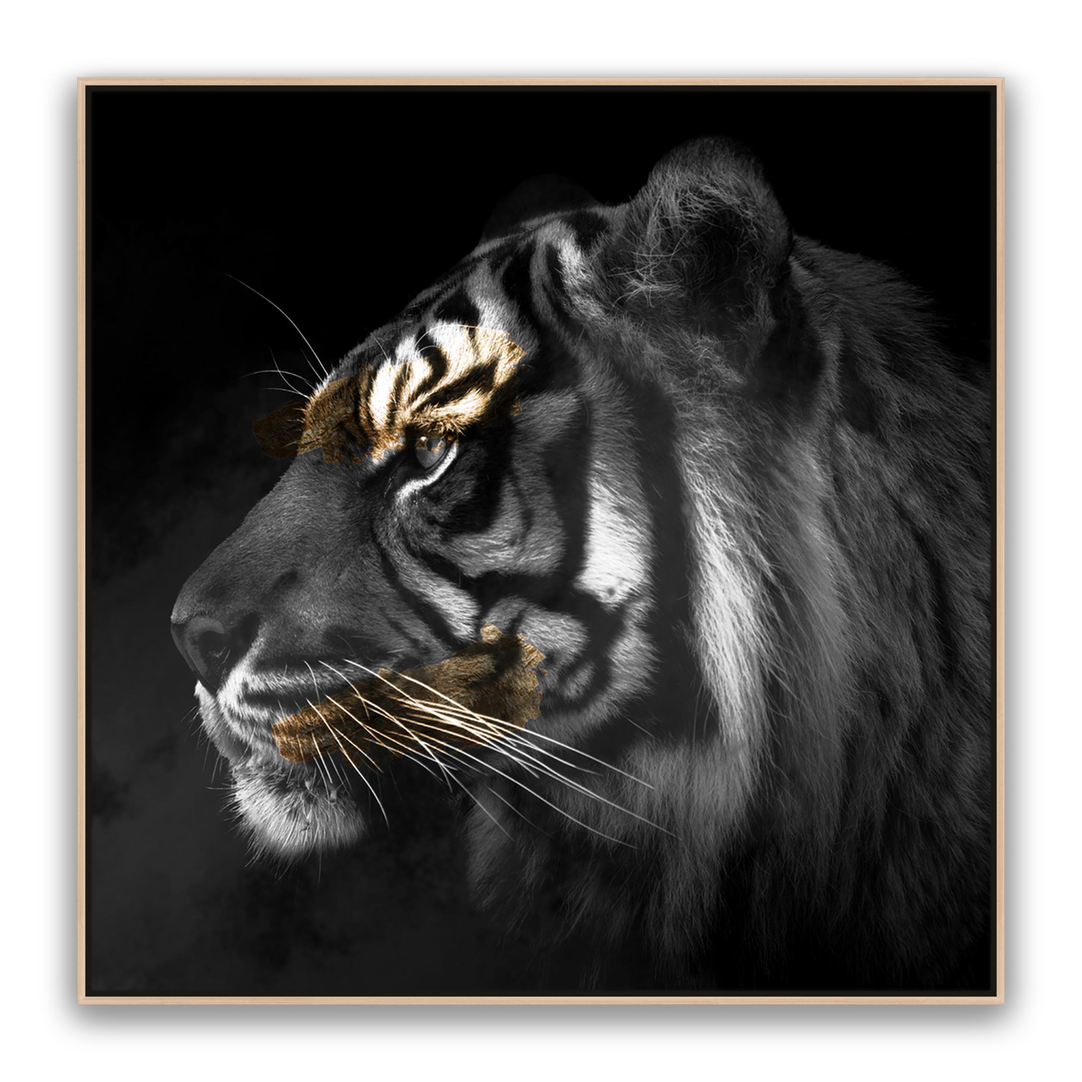Tiger Gold Square