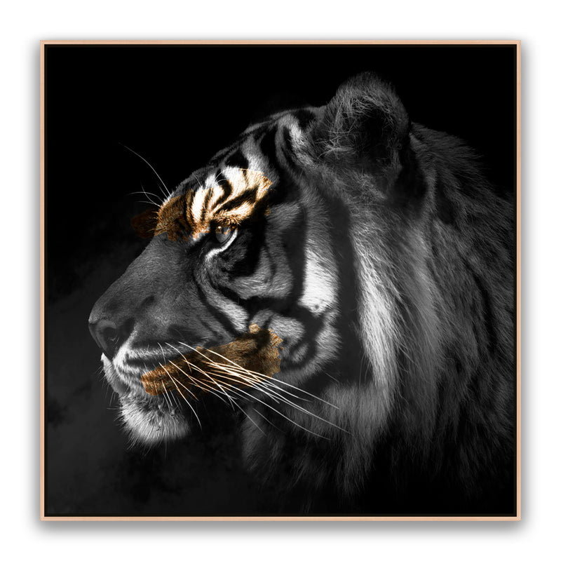 Tiger Gold Square