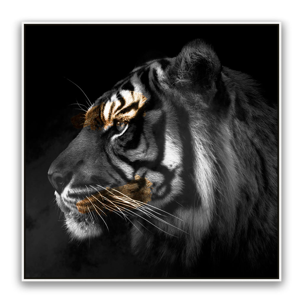 Tiger Gold Square