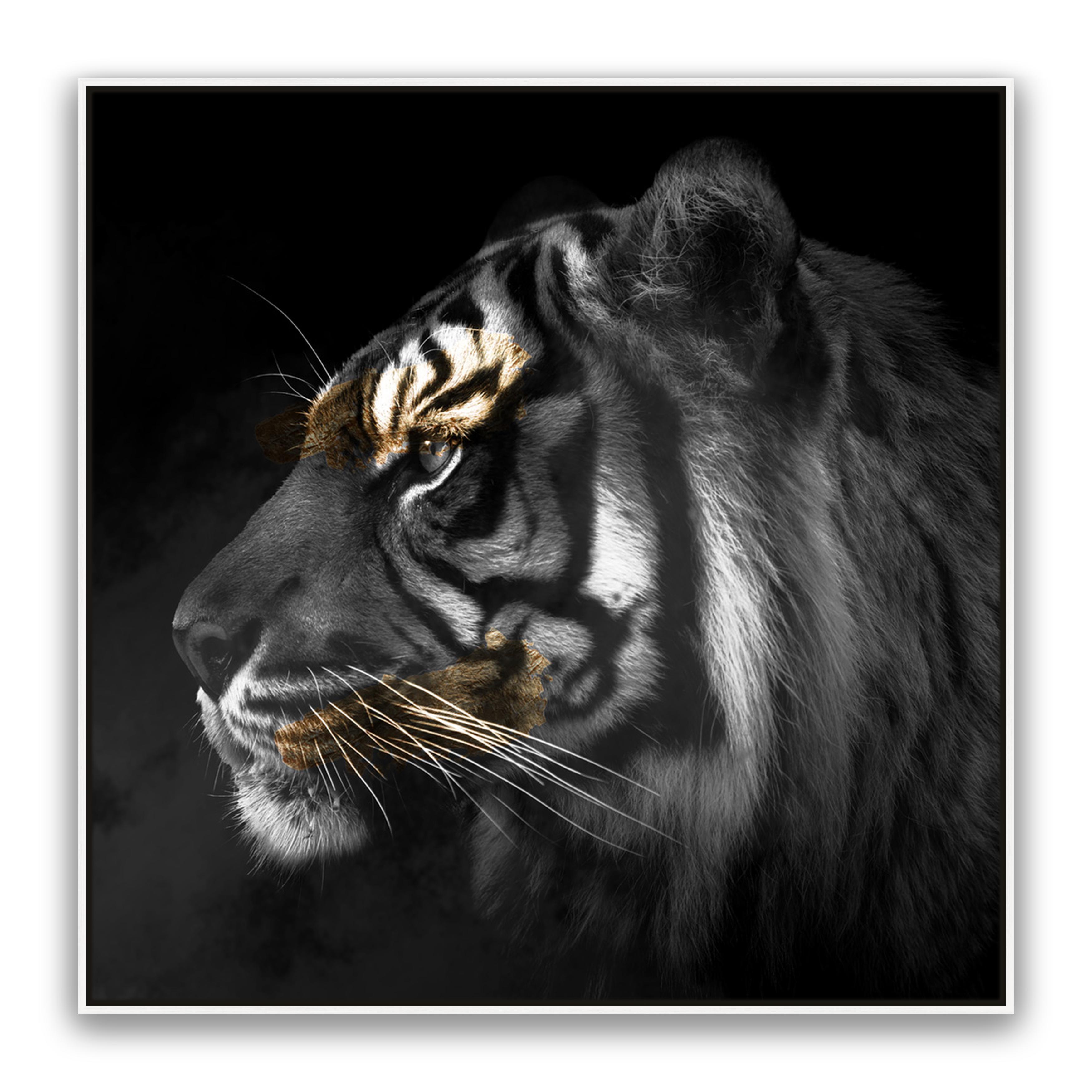 Tiger Gold Square