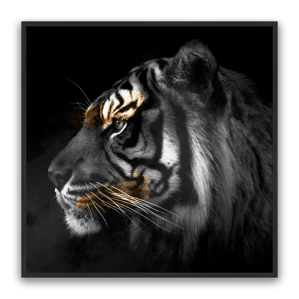 Tiger Gold Square