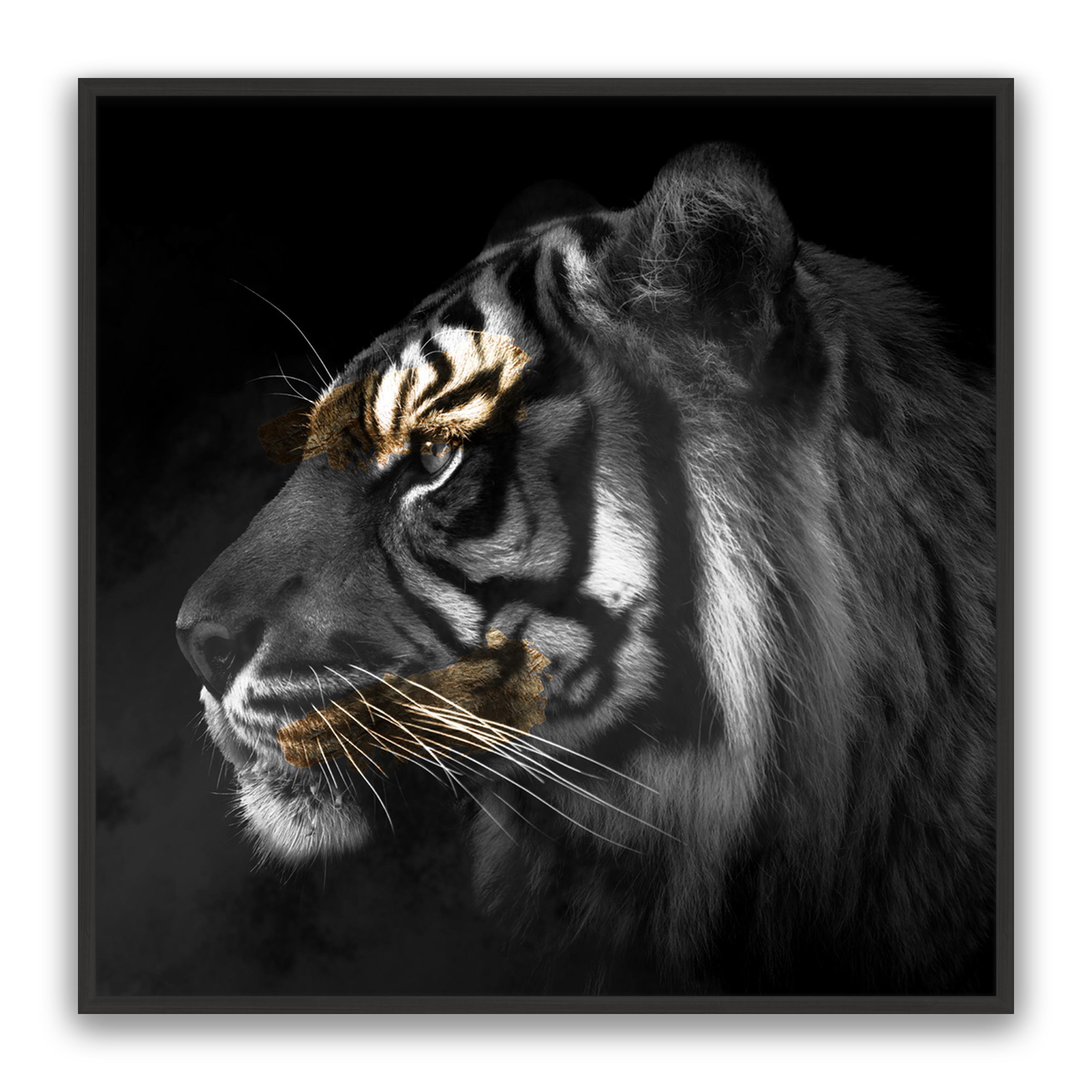 Tiger Gold Square