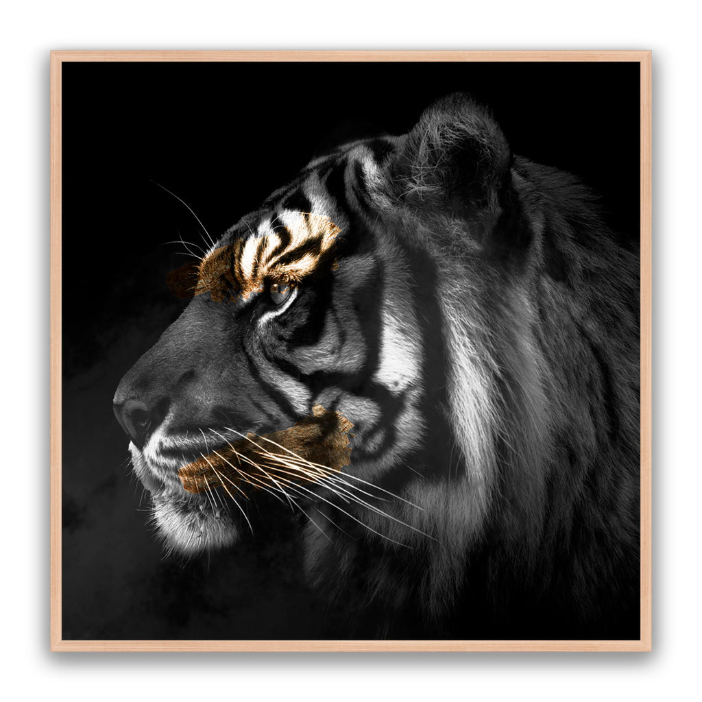 Tiger Gold Square