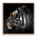 Tiger Gold Square