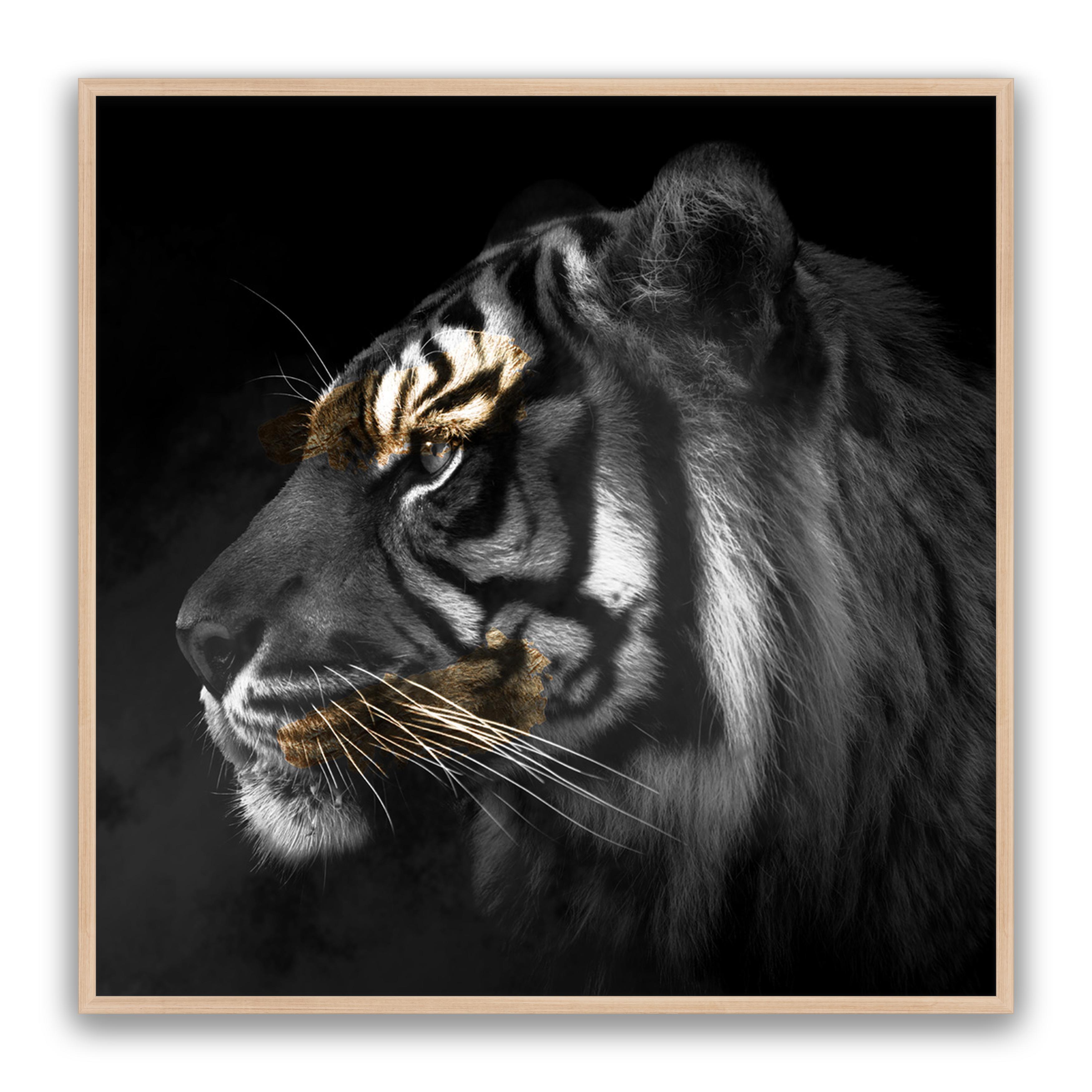 Tiger Gold Square