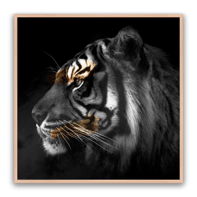 Tiger Gold Square